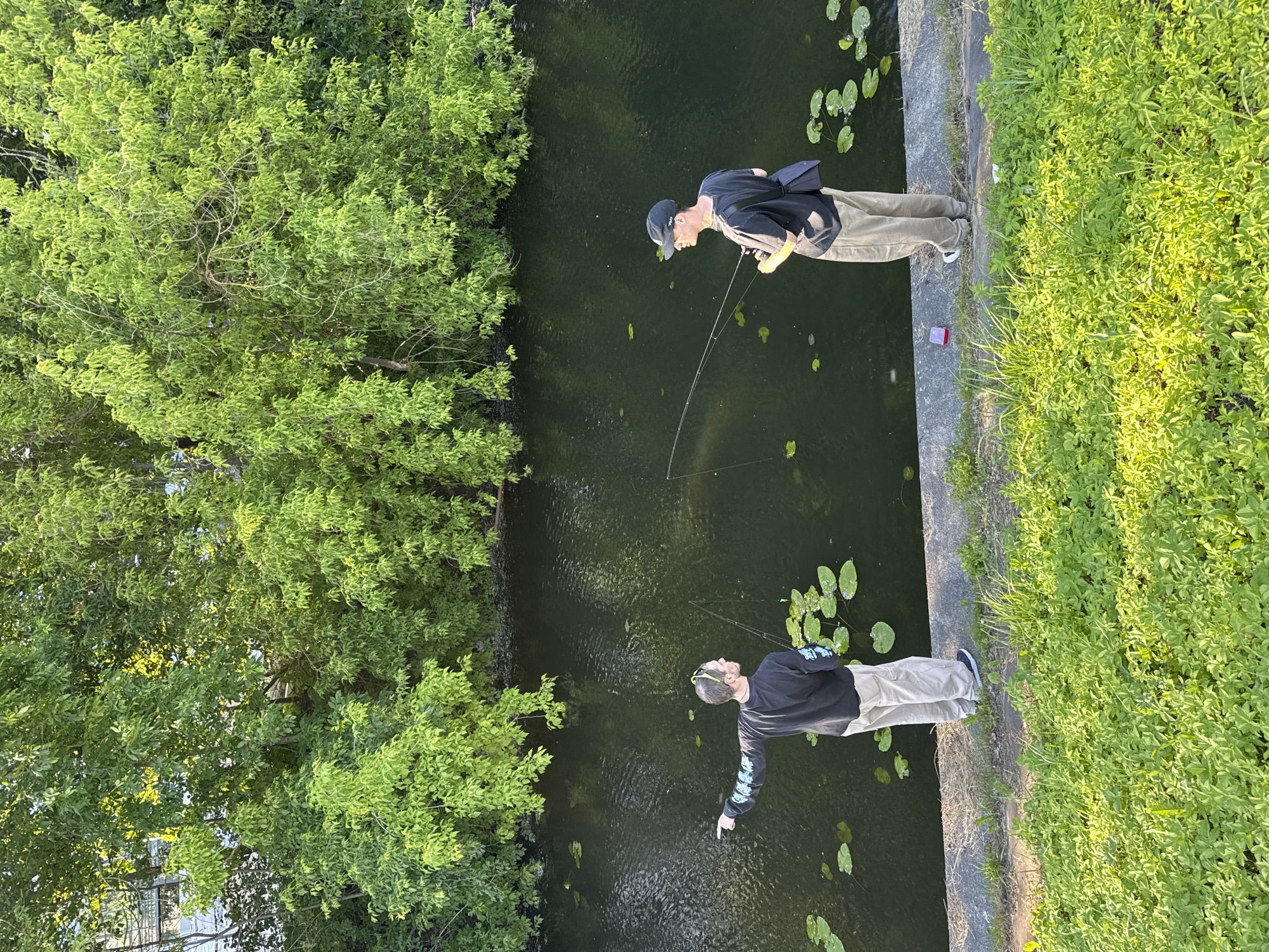 Two individuals are standing on a concrete embankment next to a dark, still body of water, likely a canal or river. Lush green trees with dense foliage form a backdrop along the opposite bank. Both individuals are engaged in fishing, holding fishing rods. The person on the left, wearing a black long-sleeved shirt and light-colored pants, is pointing towards the water with their left hand. The person on the right, wearing a black t-shirt, a baseball cap, and light-colored pants, has a bag slung over their shoulder and is holding their fishing rod. Lily pads are visible floating on the surface of the water. The foreground is covered in vibrant green grass and vegetation. The lighting suggests it is daytime, possibly late afternoon or early evening, given the warm sunlight illuminating the vegetation. The scene depicts a tranquil outdoor recreational activity in a city setting, likely Saint Petersburg, Russia, given the typical urban waterways and greenery.