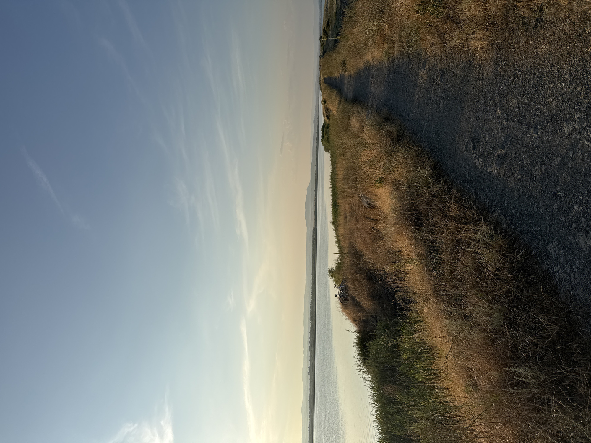 An exterior, eye-level, medium shot captures a dirt path winding along the edge of a body of water, likely a lake, under a pale blue sky with wispy clouds. The path is flanked by dry, golden grasses and taller green vegetation on the left, which transitions into the calm water. In the distance, a hazy horizon with low hills can be seen. On the left side of the path, near the water's edge and nestled amongst the dry grasses, are two bicycles. The scene suggests a natural, serene landscape, possibly a recreational area or park. The overall lighting indicates it is late afternoon or early morning.