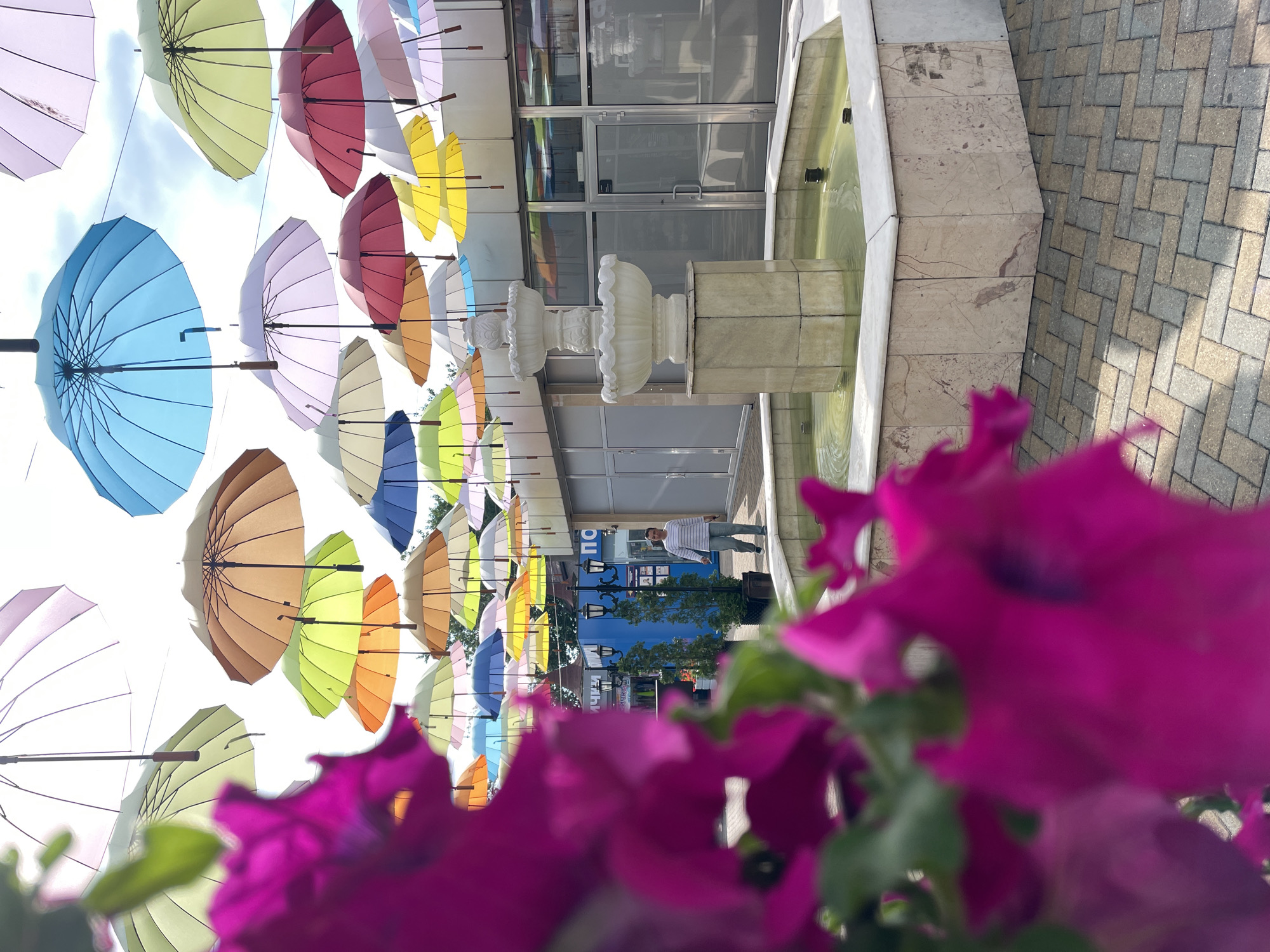 A street scene in Sochi, Russia, features a decorative fountain and an overhead display of colorful umbrellas. In the foreground, blurred pink flowers dominate the left side of the frame. The fountain is a multi-tiered marble structure with water circulating in the basin, which is surrounded by a marble-tiled edge. Behind the fountain, a woman wearing a striped shirt and pants walks away from the camera on a paved walkway. The walkway is made of interlocking brick pavers in shades of beige and gray. In the background, a building with large glass windows and doors is visible, with more umbrellas suspended from above. These umbrellas are in various colors, including blue, light blue, pink, yellow, orange, and green, and are arranged in a canopy overhead. Two lampposts are also present near the building. The sky is partly cloudy.