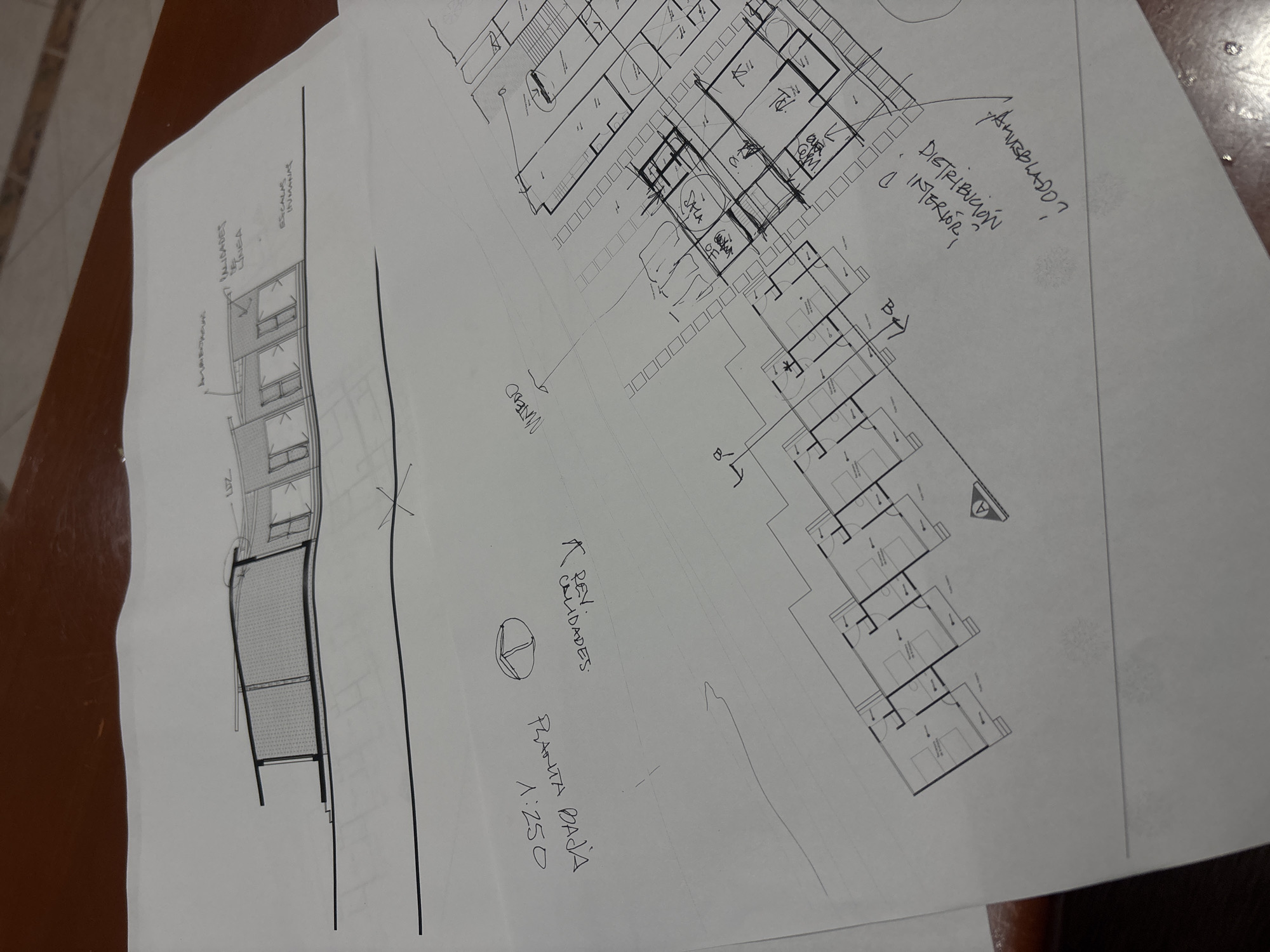 The image shows a hand-drawn architectural floor plan on a white sheet of paper, likely located in San Pablo del Monte, Mexico. The plan includes various buildings and structures. On the left, there is a tall, narrow structure, possibly a building with multiple levels and a fenced area in front. To the right of this structure are lines indicating the edge of a road. Further to the right, a series of interconnected buildings are depicted. These buildings are furnished with beds and doors, hinting at residential units or apartments. The plan also contains hand-written annotations in Spanish. One section is labeled "PLANTA BAJA 1:250," indicating the ground floor plan at a scale of 1:250. Another annotation asks "¿AMUBBLADO?," meaning "Furnished?" followed by "DISTRIBUCIÓN INTERIOR," indicating an interior distribution plan. A circular symbol with a line bisecting it and labeled "REV CALIDADES" and "REVISAR CALIDADES" can also be seen. The word "MUEBLES" (Furniture) is written over a series of shapes. The floorplan also contains annotations "escalas" and "humanas" indicating building scales.