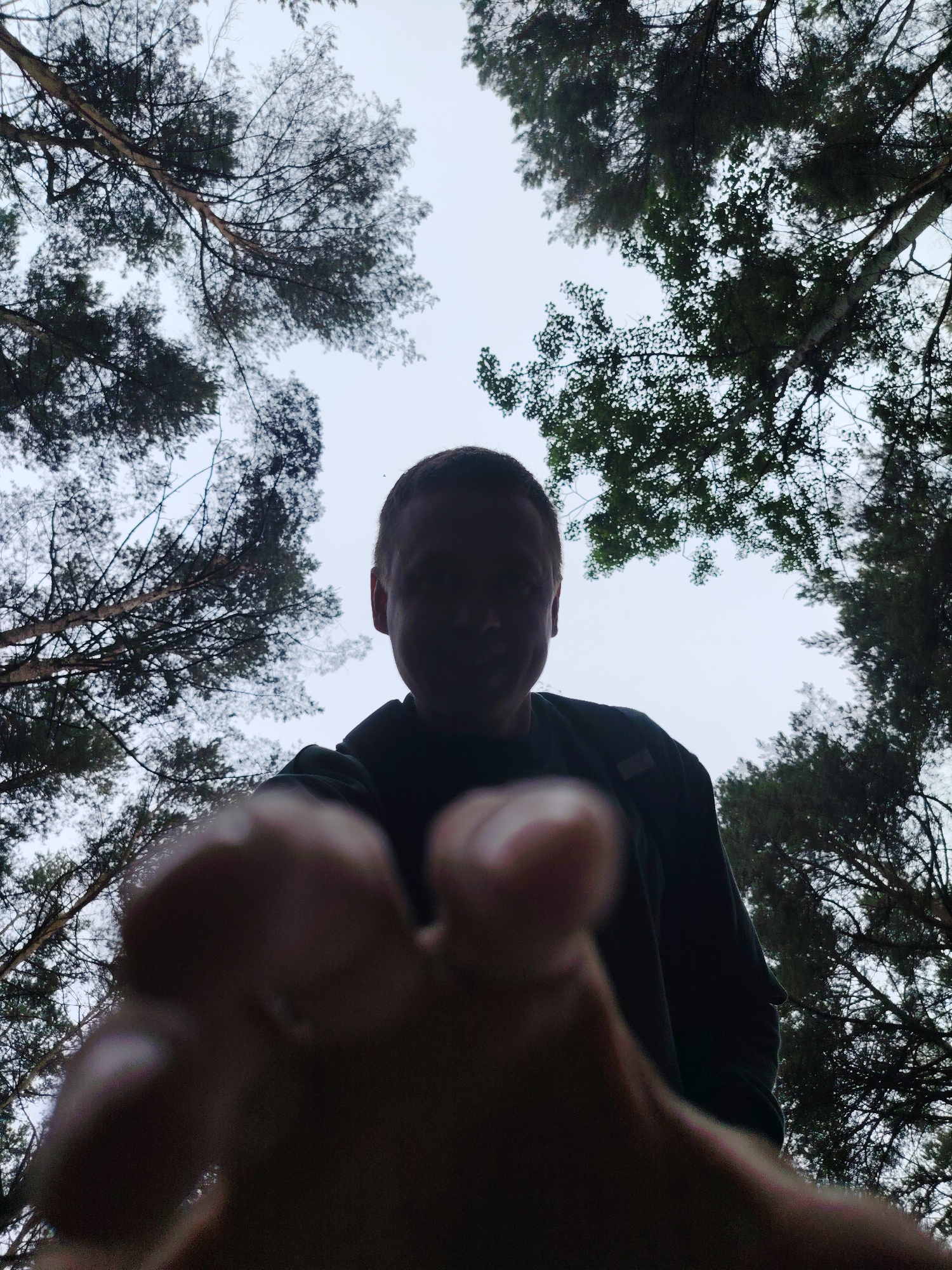 A low-angle, upward-looking shot captures a silhouetted man reaching towards the camera in a natural outdoor setting. The man's face and upper body are visible, heavily shadowed against the bright sky, making his features indistinct. He appears to be wearing a dark top. His hand, with fingers slightly spread and blurred due to its proximity to the lens, extends prominently into the foreground, dominating the lower portion of the image.
Above and around the man, numerous tree canopies are visible against a light, overcast sky. The trees appear to be tall evergreens, likely pines, with dark green foliage and branching structures silhouetted against the bright background. The composition emphasizes the height of the trees, which frame the central figure.
The scene suggests an outdoor environment, likely a forest or wooded area, possibly in Chaikovsky, Russia. The overcast sky indicates diffuse light, with no direct sunlight, contributing to the strong backlighting effect that renders the man in silhouette. There is no visible text in the image.