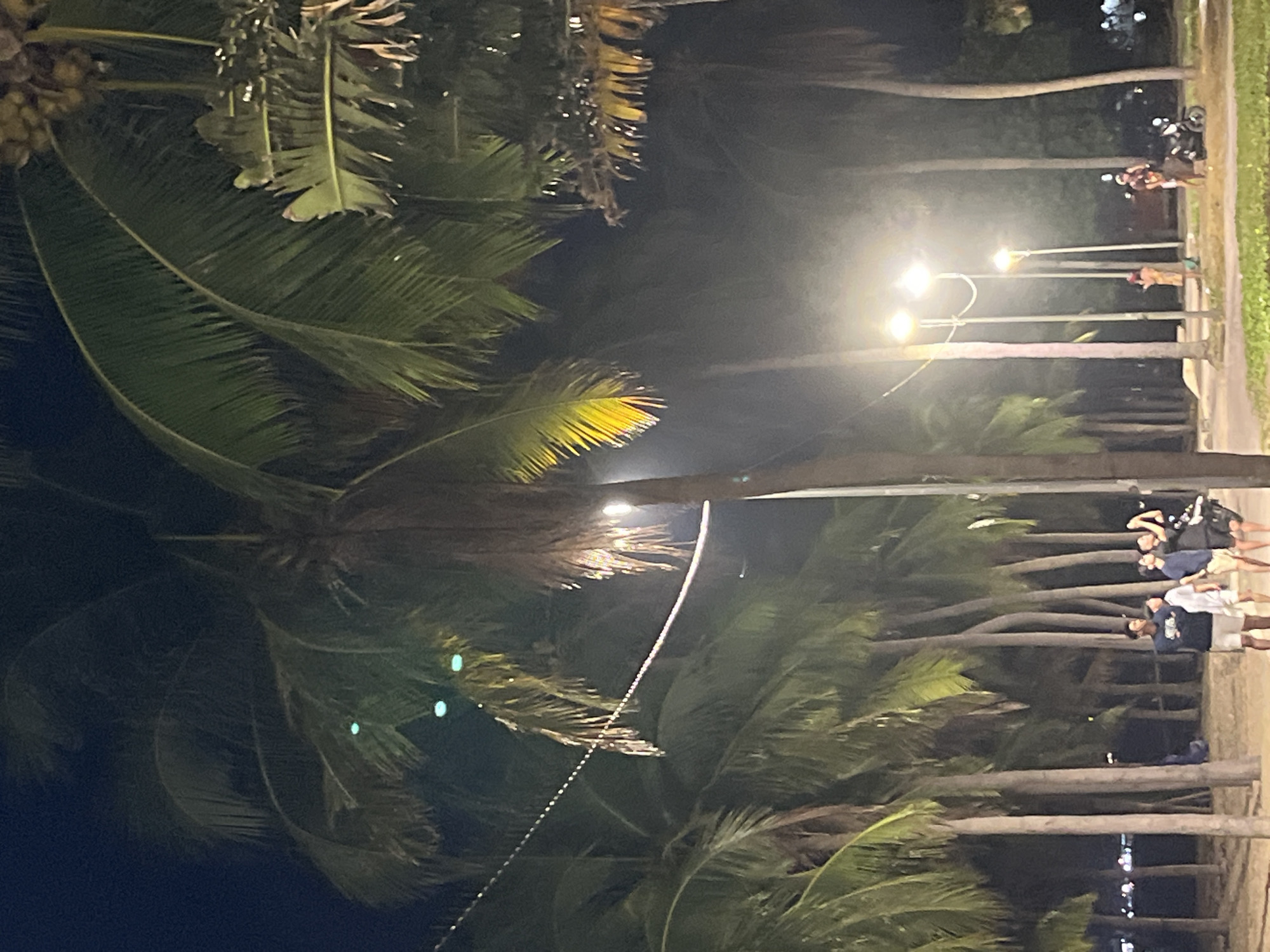 The image depicts a nighttime scene at a location with palm trees, possibly a beach or a park in Nha Trang, Vietnam. Several palm trees are prominently featured, with their fronds arching over the scene. Streetlights are visible, illuminating parts of the area and casting a warm glow.
In the background, a pathway or road runs parallel to the palm trees. Several people are gathered along this path, some appearing to be standing and talking, while others might be walking. One group of individuals is clustered together, and further down the path, a motorcycle is parked. The individuals are casually dressed, suggesting a relaxed atmosphere.
The time of day is clearly night, indicated by the artificial lighting and the dark sky. The weather appears clear, as there are no visible signs of rain or heavy clouds. The presence of palm trees strongly suggests a tropical or subtropical coastal location. The overall mood seems calm and leisurely, consistent with an evening gathering or stroll in a public space. No visible text is present in the image.