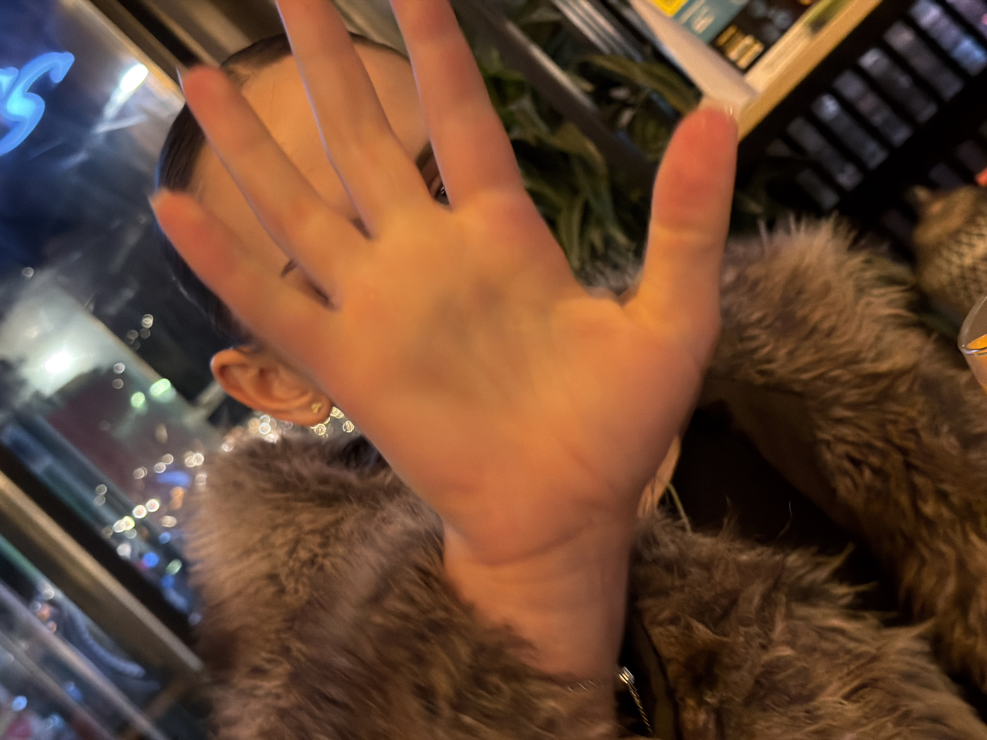 The image depicts an indoor scene in Sofia, Bulgaria, featuring a person whose face is partially obscured by their right hand, palm extended towards the viewer. The individual is wearing a dark brown/grey fur or faux-fur coat, visible across the left and lower sections of the frame. The right side of the person's head is visible on the upper right, showing dark, pulled-back hair and a small, reflective stud earring on the earlobe. Through a window behind the person, an out-of-focus urban night landscape is visible, characterized by numerous bokeh lights from distant buildings and street illumination. A prominent blue neon-like light source appears in the upper background, alongside other diffused light sources. Green foliage is discernible in the lower right background, situated behind a dark, horizontal structural element, possibly a window frame or railing. The indoor setting, combined with the city backdrop, suggests a commercial establishment such as a restaurant or bar.
