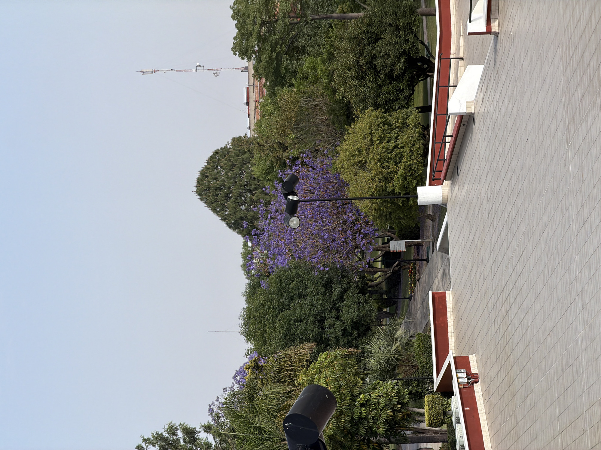 This outdoor image, captured in San Andrés Cholula, Mexico, displays a verdant landscape alongside a building under a bright, possibly overcast, sky.
On the left side, a wide expanse of light blue-grey sky is visible, with a tall, white lattice antenna tower prominent in the upper left, hinting at a broader urban setting.
The central and lower sections of the image are dominated by dense, diverse vegetation. Numerous trees and shrubs fill the space, including large, leafy green trees and several Jacaranda trees, which are distinctive with their clusters of vibrant purple blossoms, particularly noticeable in the mid-ground. Palm-like plants and other smaller bushes add to the variety of greenery. Two black, multi-lamp streetlights are positioned within this area; one is central, illuminating the foliage, and another is partially visible at the bottom of the frame. A white rectangular sign on a pole is present among the trees, but its text is too small to be deciphered.
On the right side, a portion of a building is visible, characterized by a light-colored, possibly beige or light gray, tiled facade arranged in a grid pattern. Red architectural elements provide contrast, appearing as trim along edges and as support structures beneath white-colored balconies or awnings.
The scene depicts a peaceful, static environment. There are no people visible, nor is any specific activity taking place. The time of day appears to be daytime, given the clear, bright sky, suggesting fair weather.