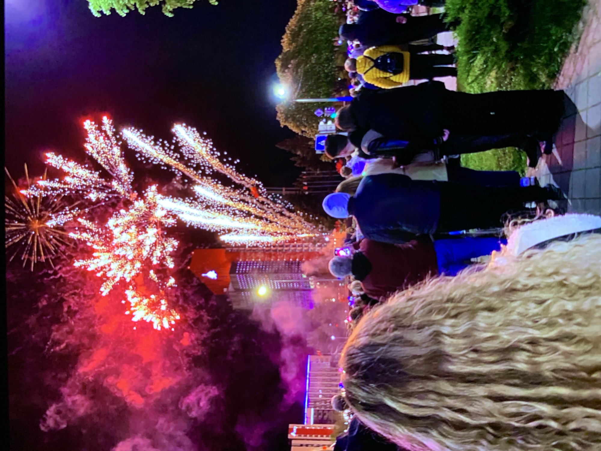 This image depicts an outdoor nighttime scene with fireworks illuminating the sky. In the foreground, the backs of several people are visible, suggesting they are facing away from the camera and towards the spectacle. The crowd appears to be gathered on a paved walkway, with a grassy area and trees visible further back. Several tall buildings, one of which is brightly lit, dominate the cityscape behind the fireworks. The fireworks themselves are a vibrant display of red, white, and pink, with plumes of smoke adding to the dramatic effect. The overall impression is of a public celebration or event.