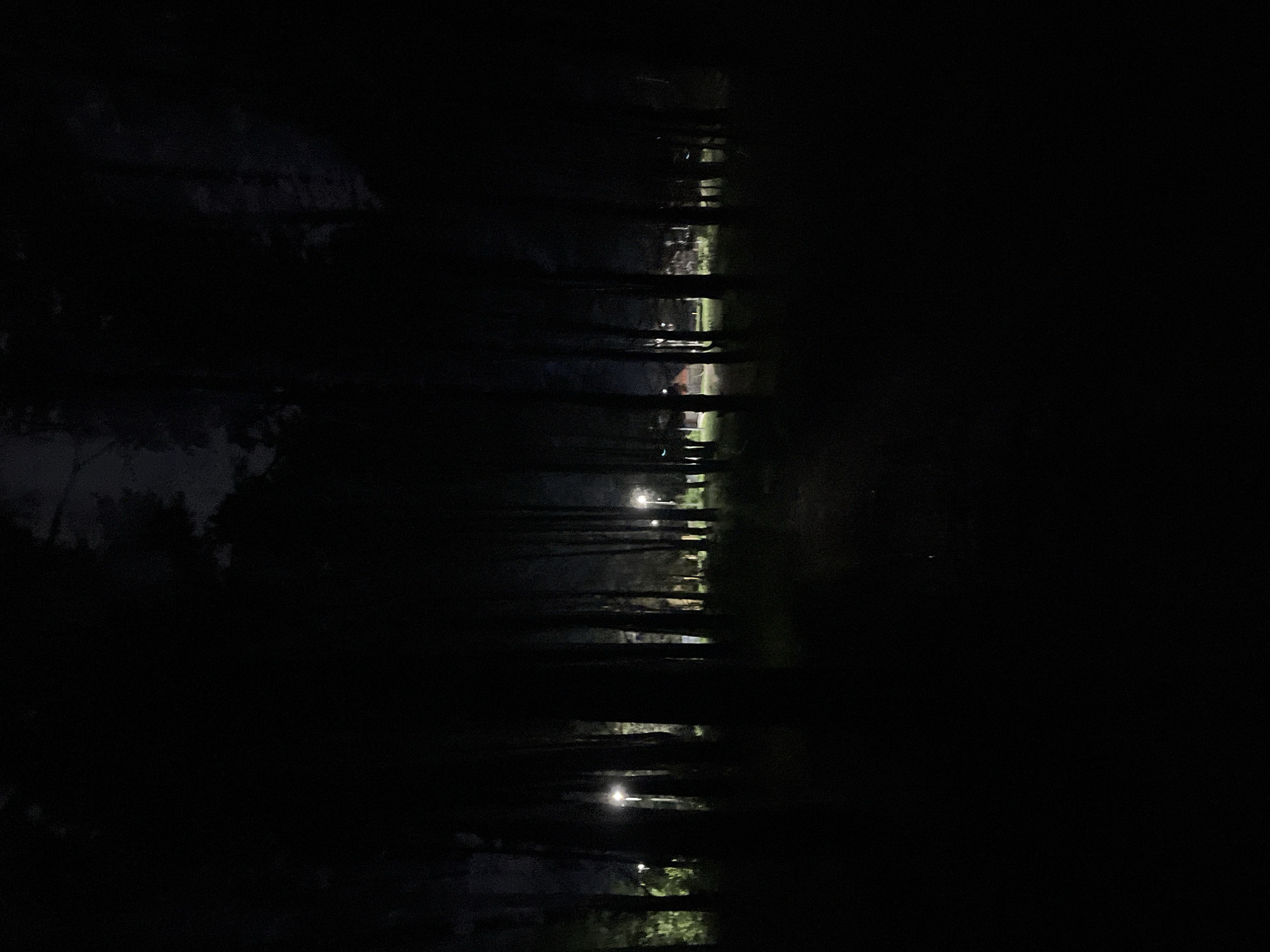 The image depicts a dark, nighttime scene in what appears to be a wooded area. Linear structures, possibly trees, are visible as dark vertical lines across the image, partially obscuring the view. Glimmers of light are visible between these structures. Based on the context, this is likely a park in Chaikovsky, Russia. Specific details about actions, interactions, or identifiable individuals are not discernible due to the limited visibility.