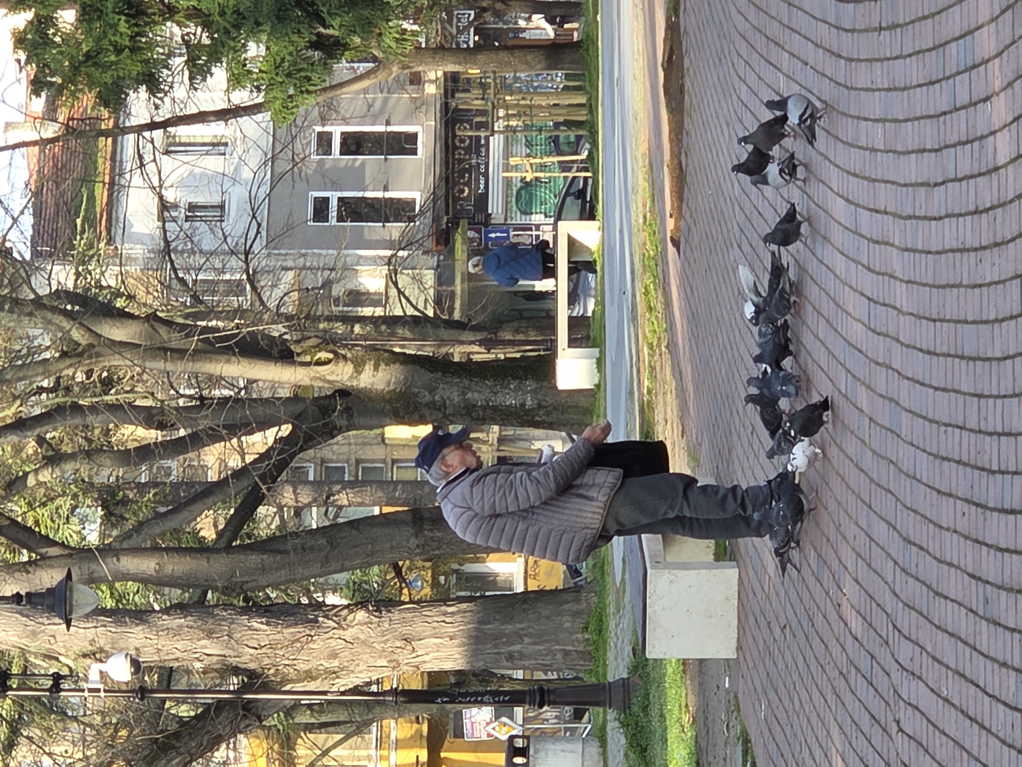 An eye-level shot depicts a man seated on a cement bench on a paved brick walkway, surrounded by pigeons, in the city of Varna, Bulgaria.
The man, wearing a gray quilted jacket and a blue baseball cap, is seated with his legs extended in front of him, appearing to be holding something in his hands. His head is turned to the left.
A flock of pigeons is gathered around his feet and in front of him on the walkway.
The walkway is constructed of red-brown bricks.
Behind the man, there is a row of trees with bare branches, through which buildings are visible. A tall, multi-story white building with windows can be seen. Further back, there is a business establishment with signage in Cyrillic letters that reads "Beer Coffee." A bench with a person wearing a blue jacket, is seated on another bench.
A black lamppost stands adjacent to the bench on which the man is seated.
The scene appears to be set in a park or public square in Varna, Bulgaria.