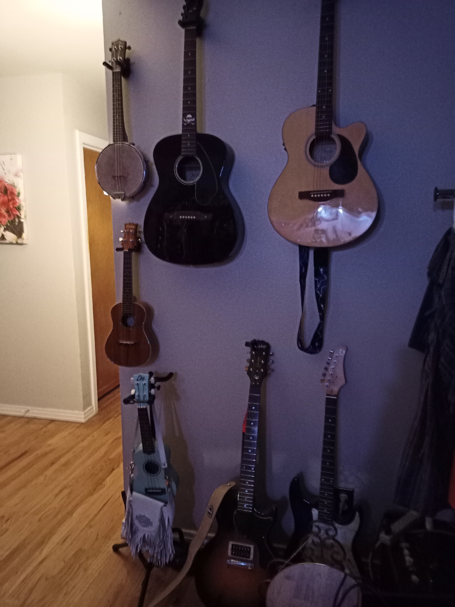 A collection of stringed instruments, including guitars and ukuleles, are displayed on a wall in a room. The instruments are varied in size and color, with some acoustic and electric guitars visible. One acoustic guitar is a light wood color, while another is black. A banjo is also present, hanging on the wall. The room appears to be dimly lit, with wooden flooring visible. The scene suggests a personal collection of musical instruments. There is no indication of the city of Amarillo, United States of America in the image.