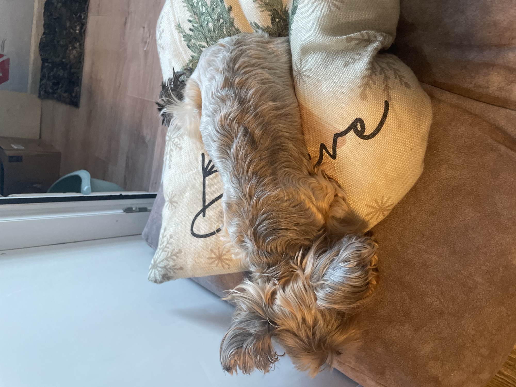 An overhead shot shows a light-colored dog with brown fur lying down on a set of pillows on a brown upholstered surface. The pillows have a pattern of snowflakes and evergreens. The dog is facing left, with its head resting on the pillows. The background is out of focus, but it appears to be an indoor setting with a wall and a door.