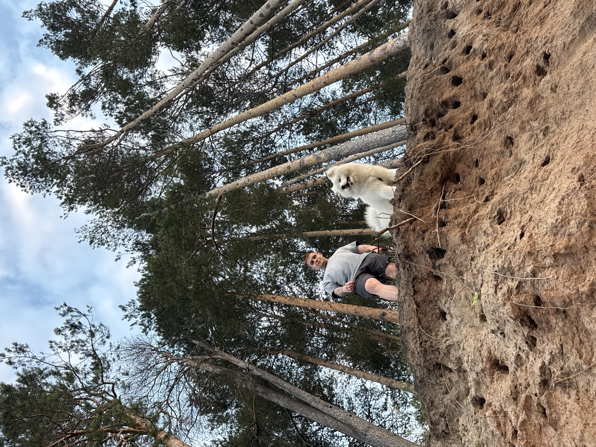 The image shows a man and a white fluffy dog standing on a muddy embankment. The man is wearing a grey t-shirt and dark shorts. The dog appears to be a Samoyed. They are in a forest with tall pine trees. The embankment has many small holes dug into it, possibly nests for birds. The sky is partly cloudy. The location is identified as Chaikovsky, Russia.