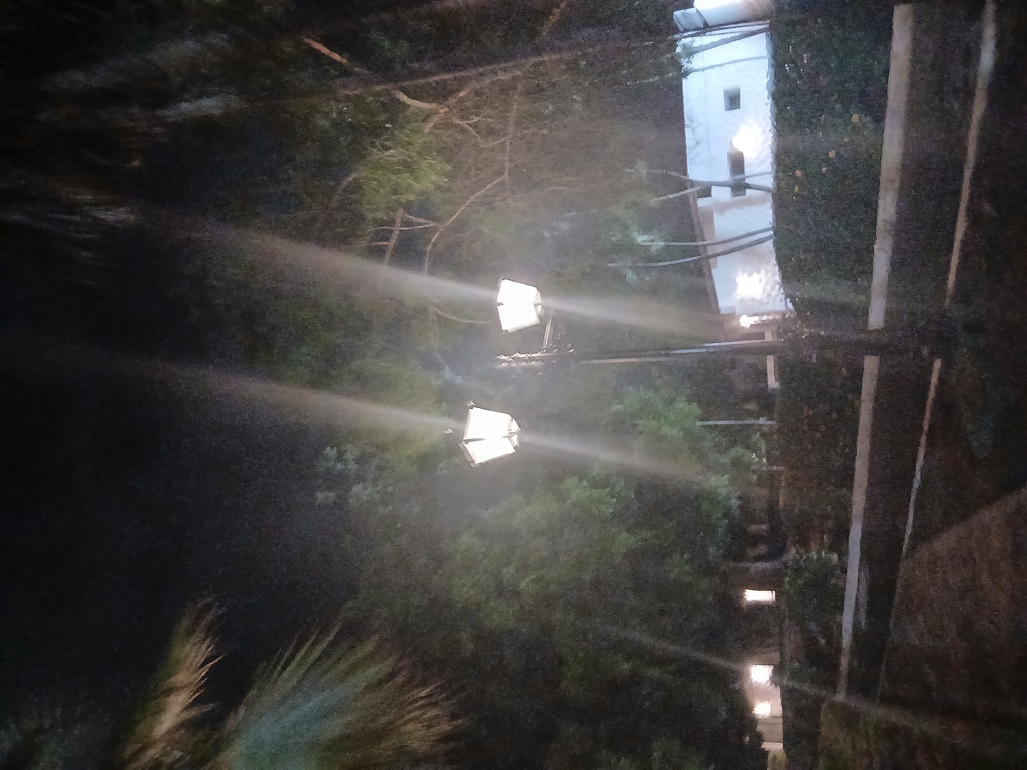 The image depicts a dimly lit outdoor scene at night, possibly in a park or garden area. A street lamp with a white, hexagonal shade illuminates the immediate vicinity with a bright glow, casting streaks of light across the frame. In the background, a white building with illuminated windows is visible, suggesting it's a structure like a house or establishment. Lush green foliage, including trees and bushes, surrounds the area, creating a somewhat dense and natural environment. The ground appears to be paved in some sections, possibly a pathway or walkway, with a darker, unpaved area in the foreground. The overall atmosphere is serene and quiet, typical of a nighttime setting in a residential or recreational outdoor space. Without additional information, it is not possible to definitively place this scene in Playa El Agua, Venezuela.