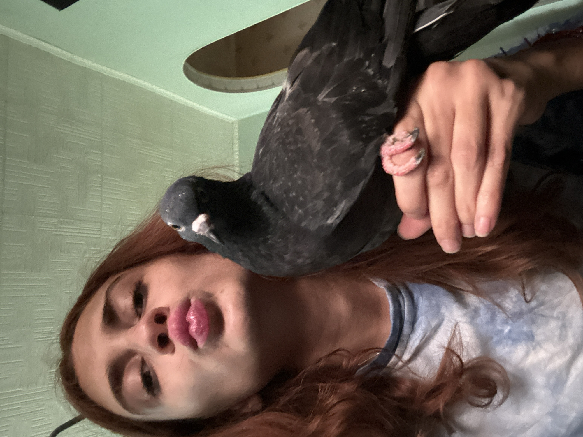 In a close-up, low-angle selfie, a young woman with auburn hair puckers her lips towards the camera while holding a dark gray pigeon. She is wearing a blue and white tie-dye t-shirt. The pigeon is perched on her left hand, with its talons visible around her fingers. The background consists of a textured green ceiling and a mint green wall with a curved doorway. The scene appears to be indoors, likely in a residential setting. No specific location in Togliatti, Russia, can be identified from the image.