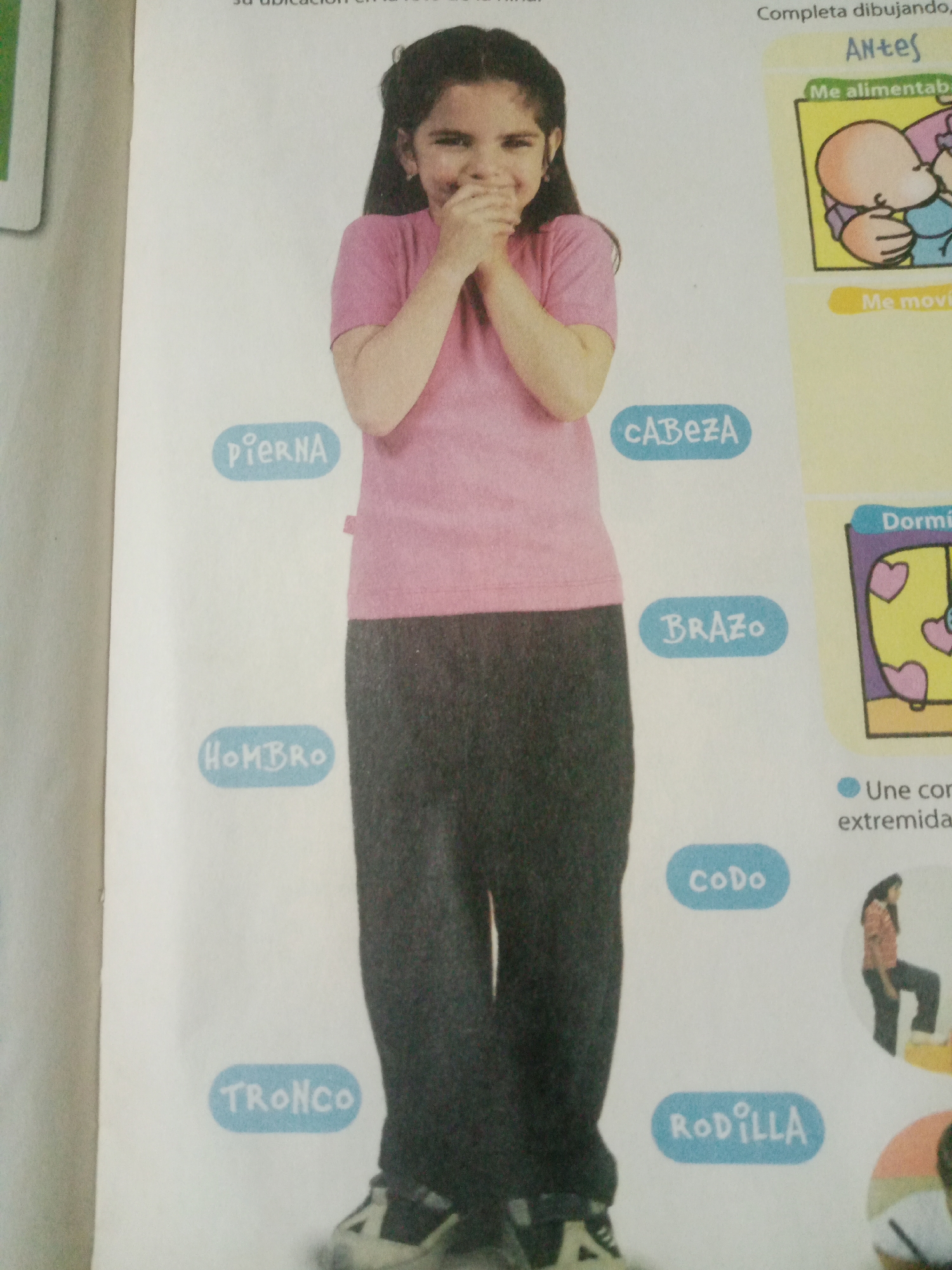 This media file is a page from a children's educational book, likely a workbook or activity sheet, focusing on human anatomy in Spanish. The central subject is a young girl, smiling and covering her mouth with her hands, wearing a pink t-shirt and dark pants. She is positioned in the center of the page, serving as a visual aid for labeling body parts.
Surrounding the girl are blue oval shapes with Spanish text identifying different parts of the body: "PIERNA" (leg), "CABEZA" (head), "HOMBRO" (shoulder), "BRAZO" (arm), "TRONCO" (torso), "CODO" (elbow), and "RODILLA" (knee).
To the right of the girl, there are three boxed illustrations with text above them. The topmost box has the heading "Antes" (Before) and depicts a stylized illustration of someone feeding a baby. Below this is the text "Me alimentab" (I eat/feed) and "Me movi" (I moved). The second box is titled "Dormi" (I slept) and shows another stylized illustration with hearts. The third section on the right has the text "Une con extremida" (Connect with extremities) followed by two smaller illustrations of children in action poses, one bending down and the other standing on a platform.
The overall scene appears to be an indoor educational setting, with a clean, bright background. The tone is playful and educational, aimed at young learners. There are no explicit time of day or weather cues visible. The context of Santa Ana, Venezuela, suggests the cultural and linguistic origin of the materials.