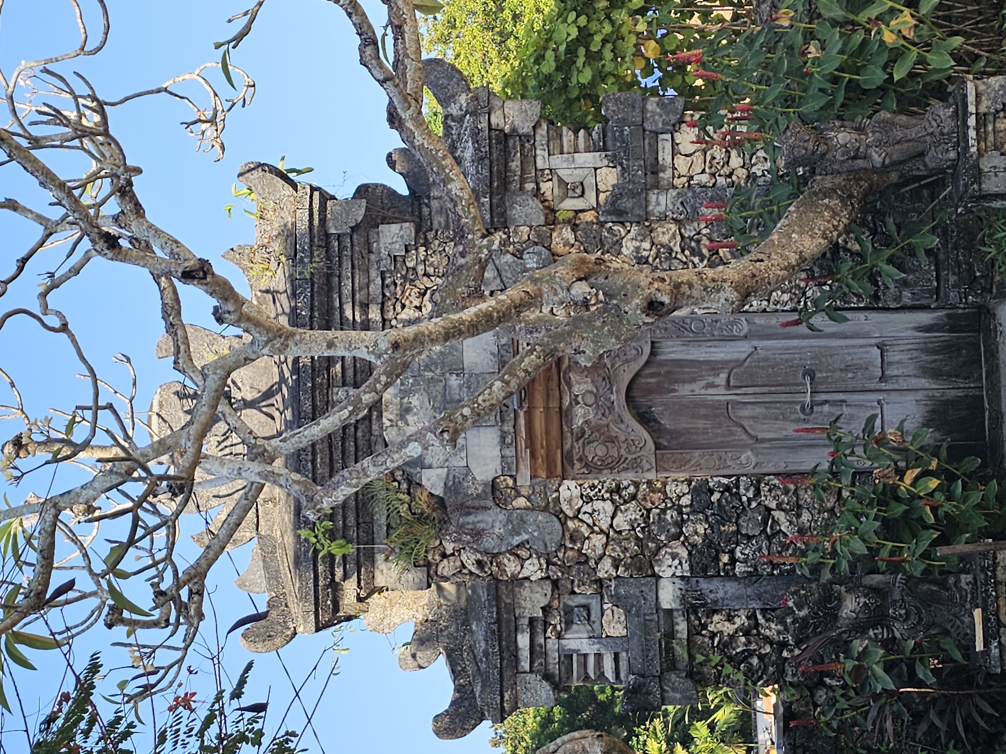 A weathered stone gateway, characteristic of Balinese architecture, stands under a clear blue sky. The gateway features intricate carvings and is constructed from rough-hewn stones and aged concrete. In front of the gateway, a gnarled tree with bare branches leans against the structure, its trunk obscuring the central wooden door. The door itself is old and weathered, with two vertical panels and simple metal handles. Flanking the entrance, small, dark stone statues of mythical figures are partially hidden by lush green foliage and red-tipped flowers. The surrounding environment suggests a tropical setting with dense greenery visible behind the gateway. The scene appears to be a quiet, historical site, possibly a temple or a traditional Balinese house entrance, located in Denpasar, Indonesia.