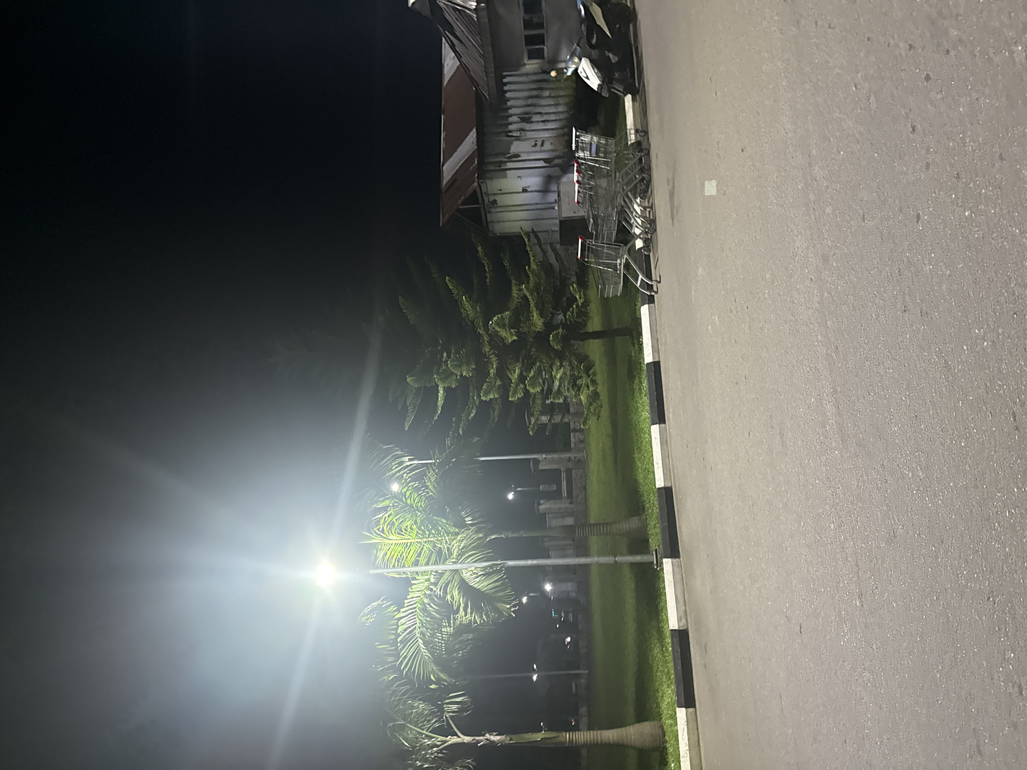 The image depicts an outdoor night scene, likely in an urban or suburban commercial area. The perspective is from ground level, looking across an asphalt road towards a grassy median and buildings in the background.
In the foreground, a dark asphalt road surface occupies the right side of the image (when viewed upright). Along its edge, a black and white striped curb separates the road from a patch of green grass.
The midground features several tall palm trees with prominent fronds, interspersed within the grassy area. Bright streetlights illuminate this section, casting strong light and creating lens flares, particularly on the left side of the frame. The artificial light brightly highlights the green foliage of the palm trees against the dark night sky.
In the background, on the left side, a building with a somewhat weathered or utilitarian appearance is visible. Its structure includes what looks like corrugated metal siding and possibly windows. Adjacent to this building, a stack of metal shopping carts is clearly visible, suggesting the proximity of a supermarket or large retail store. The sky above is dark and cloudless, typical of a nighttime setting.
There are no people visible in the image, and no specific activities are taking place. The scene is static, illuminated by artificial lights, and hints at a commercial zone in Uyo, Nigeria, given the tropical vegetation and common sight of shopping carts. No discernible text is visible within the image.