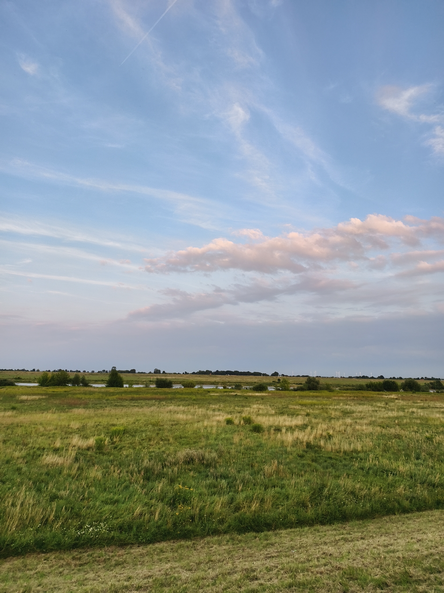 The image depicts a landscape view of a rural area with a grassy field in the foreground and a body of water with scattered trees in the middle ground. In the background, a line of trees forms the horizon, beyond which are several wind turbines. The sky is partly cloudy with a light blue hue. This scene is located in the vicinity of the Vistula River, near Tczew, Poland.