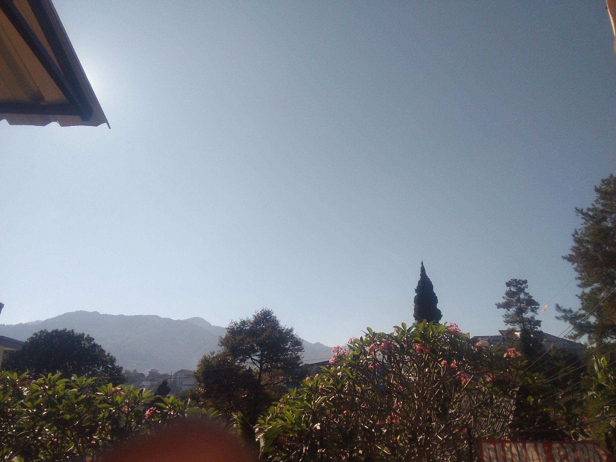 This image captures a serene view from Cisarua, Indonesia, looking towards distant mountains under a clear, pale blue sky. In the foreground, a section of a brown awning or roof is visible in the upper left corner. A dense cluster of green foliage and pink blooming flowers dominates the lower half of the frame, obscuring much of what lies behind. Among the foliage, various trees are present, including a tall, slender cypress-like tree to the right of center, and a broader, darker tree to the left. In the background, the misty outline of rolling mountains forms the horizon, with hints of buildings nestled in the lower slopes. The overall impression is one of a quiet, possibly residential or garden setting, bathed in natural light.