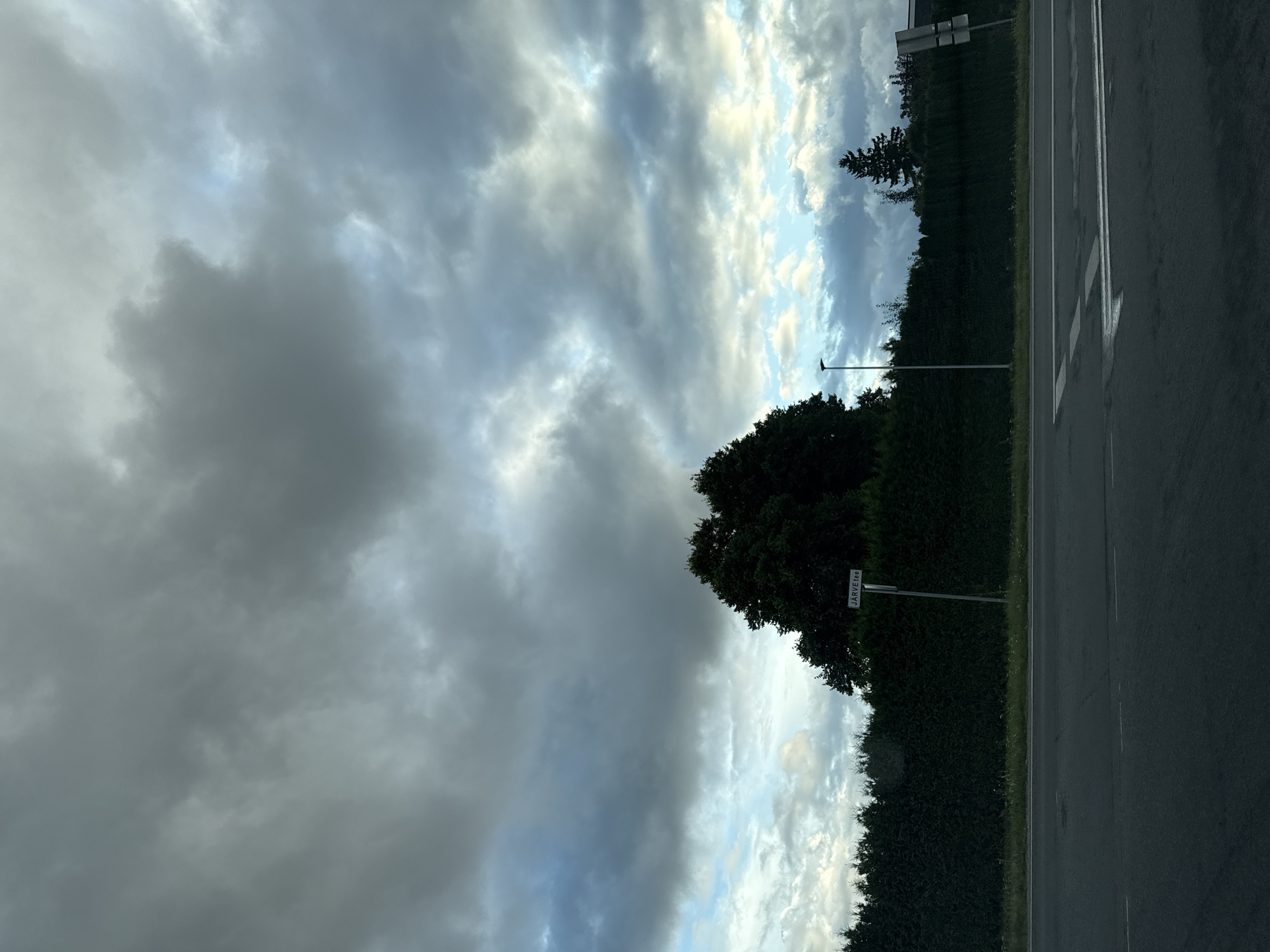 The image depicts a road in Järveküla, Estonia, under a cloudy sky. A dark green hedge forms a dense barrier along the side of the road. A street sign with "JÄRVETEE" is visible on a pole in front of the hedge. A tall, dark tree stands prominently behind the hedge, with other trees and a conifer visible in the background. A street lamp is also present. The road itself is paved asphalt with white lane markings. The overall scene suggests an overcast day in a semi-rural or suburban area of Järveküla.