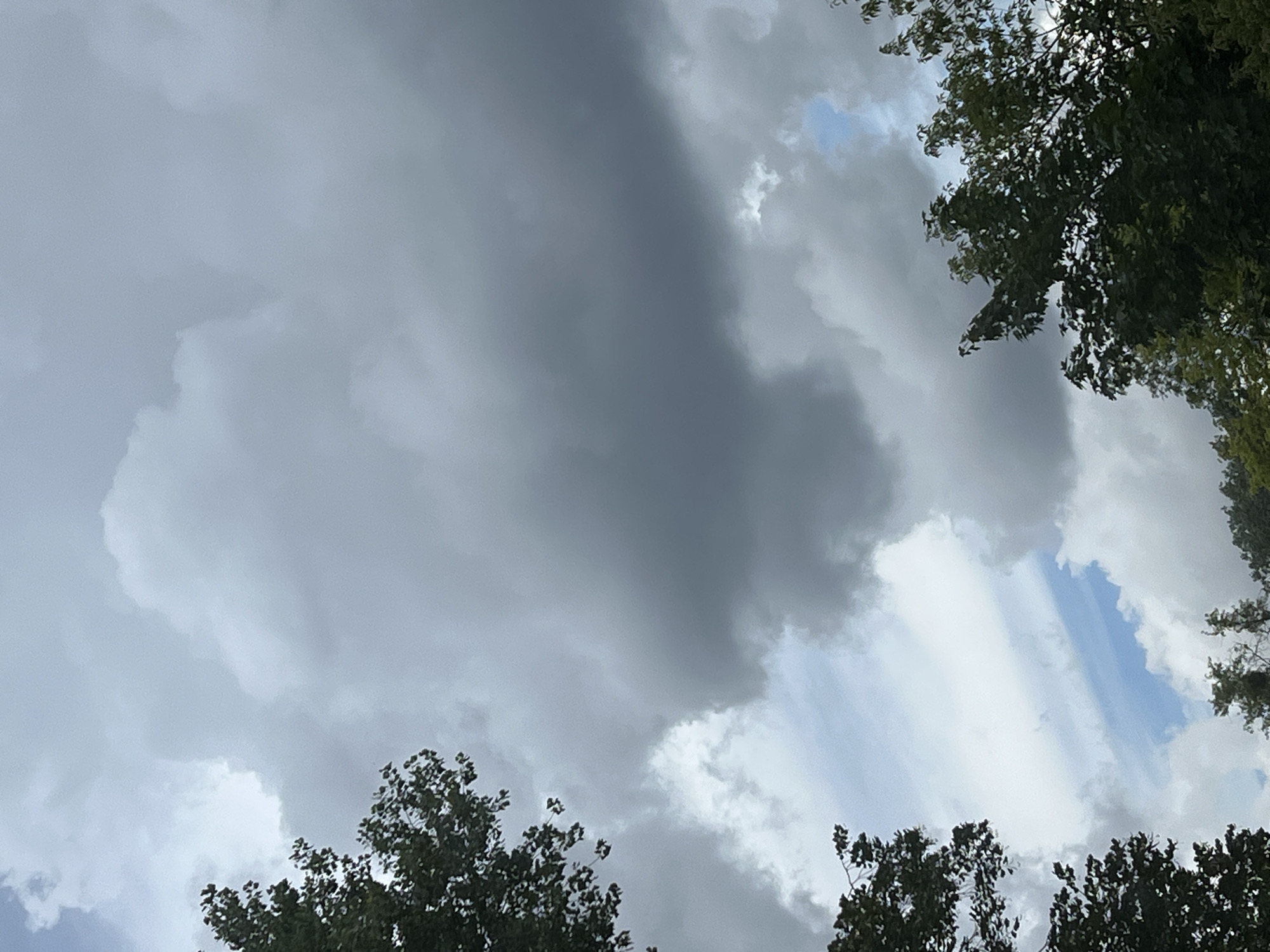 The image depicts a cloudy sky with portions of trees visible at the edges. The clouds are a mix of dark gray and lighter white, suggesting potential for rain or overcast conditions. There are patches of blue sky peeking through the clouds. The trees are lush and green, indicating a temperate climate. The image does not contain any people or discernible landmarks that would identify its location within Warsaw, Poland. The scene is entirely natural, focusing on the sky and foliage.