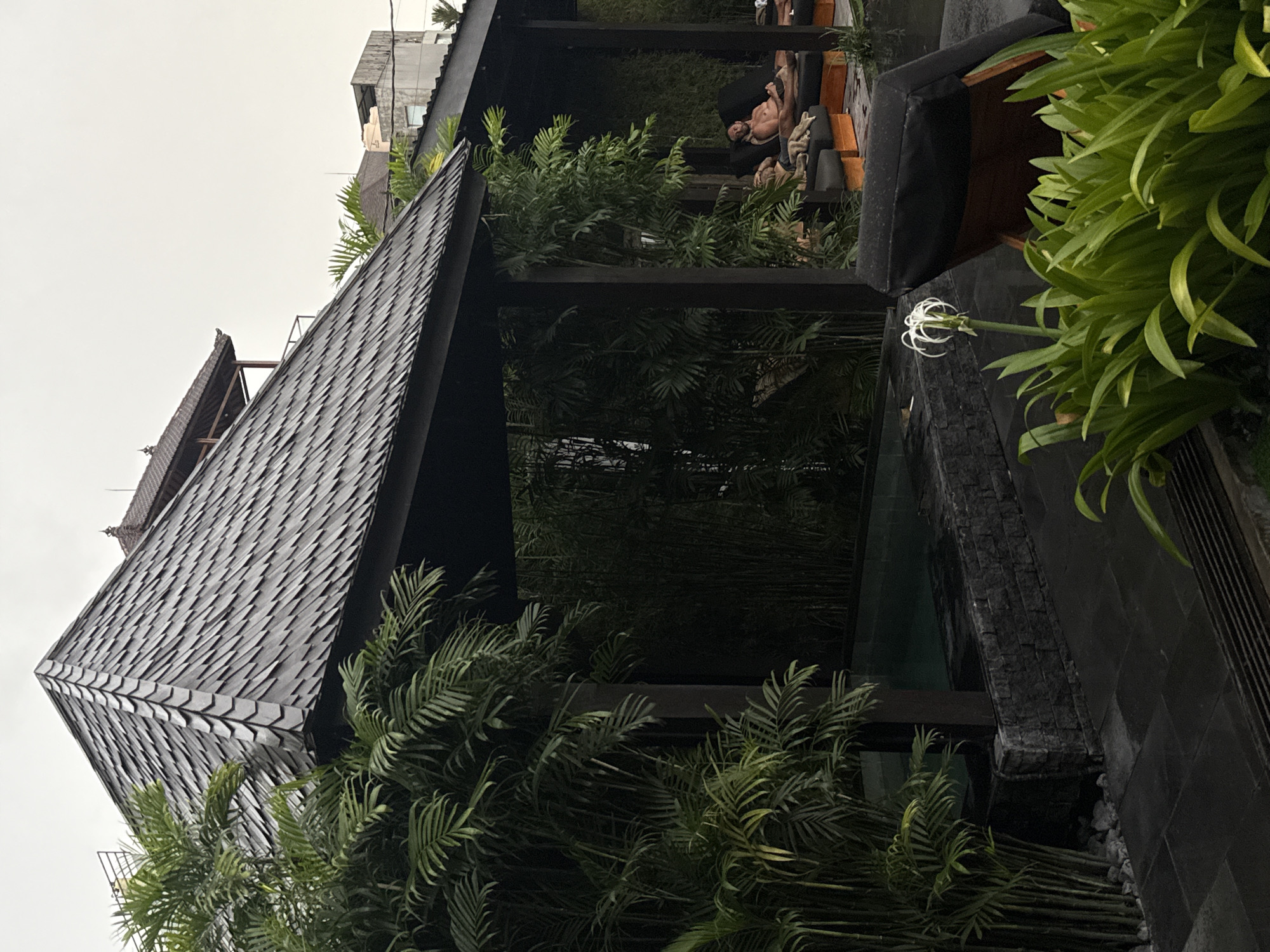 This outdoor image depicts a tranquil scene possibly in Unknown, Unknown. A structure with a steeply pitched roof covered in dark grey or black tiles is the prominent feature, partially obscured by lush green vegetation. The roof is angled sharply to the left, drawing the eye upwards to a grey, overcast sky. The structure's dark wooden beams are visible, framing an interior view where figures are reclining on cushions. The greenery is dense and varied, ranging from leafy bushes to taller, slender plants resembling bamboo. To the right of the image, a stone wall with water cascading down its surface is partially visible, with more lush green plants extending over the edge. A single white flower with long petals stands out against the darker elements of the scene. The overall atmosphere is serene, suggesting a private retreat or garden setting.