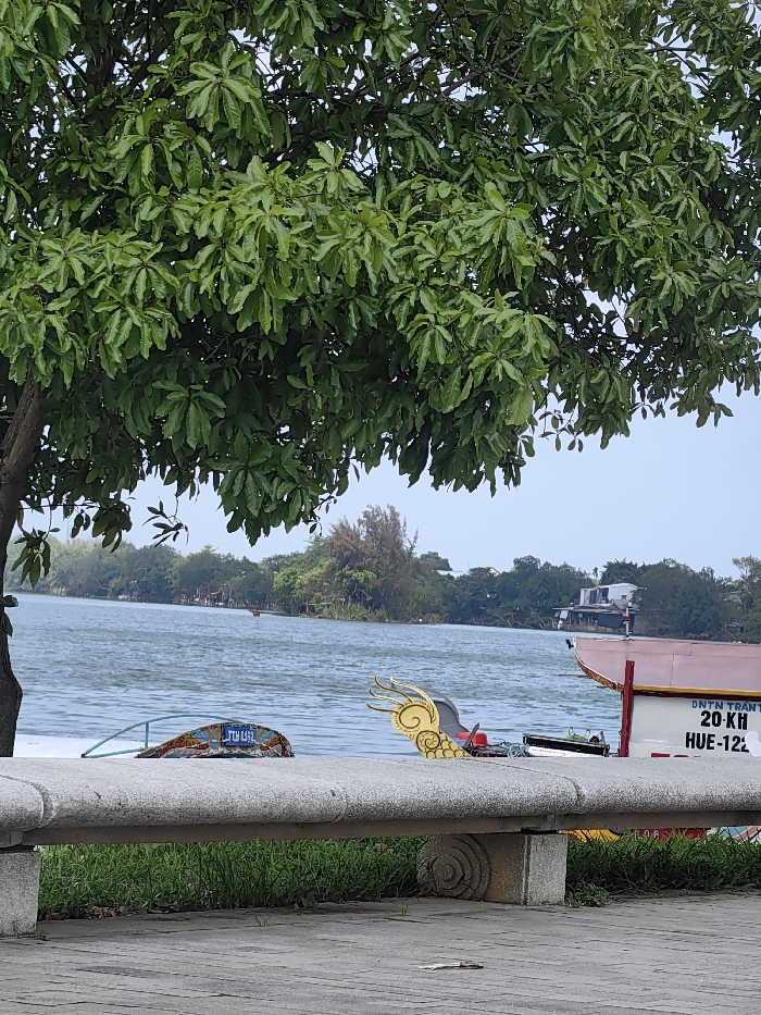 The image displays a tranquil waterside scene, likely along the Perfume River in Thuận Hóa Ward, Hue, Vietnam. The upper left and top portions of the frame are dominated by the dense, vibrant green foliage of a tree, with its main trunk visible on the far left. A long, grey, speckled stone bench with sculpted circular supports extends horizontally across the lower foreground. In front of the bench, a paved pathway gives way to a strip of green grass directly beneath the bench.
Beyond the bench and grass, a body of water, characterized by visible ripples, occupies the midground. Two boats are partially visible on the water. To the left, a smaller boat, painted in blue and orange, shows the inscription "TTH 642" on a blue plaque. To its right, the ornate bow of a traditional dragon boat is prominent, featuring a golden, stylized dragon head or wing motif. The side of this larger vessel, visible above the bench, is white with a red trim and displays the text "DNTN TRANT", "20-KH", and "HUE-122". A solitary red buoy is discernable further out on the water.
The background consists of the opposite riverbank, densely covered with varied green trees and some patches of lighter, brownish vegetation. Distant, indistinct structures are partially obscured by the foliage on the far bank. The sky above is a pale, overcast grey-blue, suggesting diffused light. No individuals are present in the scene, and no overt actions or interactions are depicted.