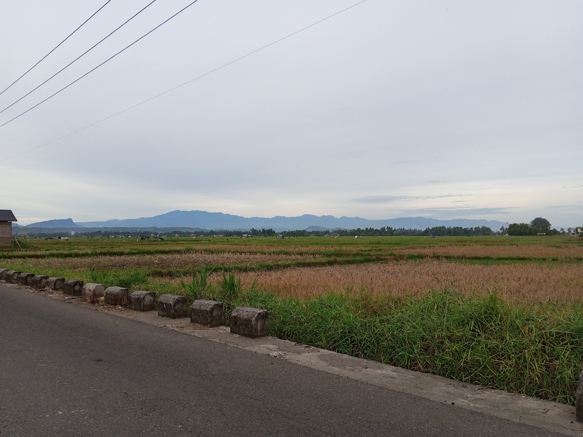A wide-angle, outdoor, eye-level photograph captures a rural landscape scene in Kutabaro, Indonesia. The image is dominated by a vast, overcast sky with wispy clouds and three prominent power lines stretching diagonally from the top left corner. Below the sky, a distant mountain range forms a hazy blue silhouette against the horizon. In the mid-ground, expansive fields of dry, golden-brown crops, likely rice paddies, stretch across the landscape, interspersed with patches of vibrant green grass. A line of low, rectangular concrete barriers runs along the edge of a paved asphalt road that occupies the lower left quadrant of the image. The road appears to be slightly inclined, with its surface showing signs of wear. To the far left, a portion of a small building with a dark roof is visible. The scene is devoid of human presence or any discernible activity. The overall impression is one of tranquility and open space.