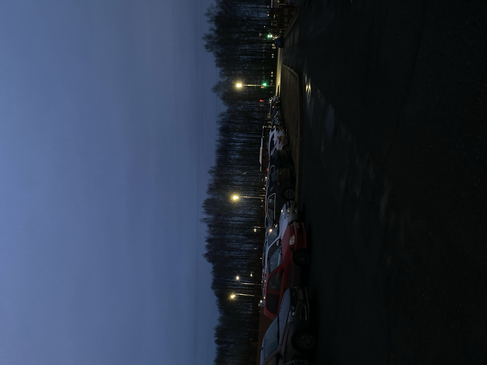 The image depicts a row of parked cars along a dark street, likely at dusk or dawn. The vehicles are parked on the right side of the frame, adjacent to a paved road with visible reflections, suggesting wet conditions. A line of trees is visible beyond the cars, with streetlights illuminating the scene. At the end of the street, traffic lights are visible.
Without additional information, I cannot determine the precise location in Izhevsk, Russia.