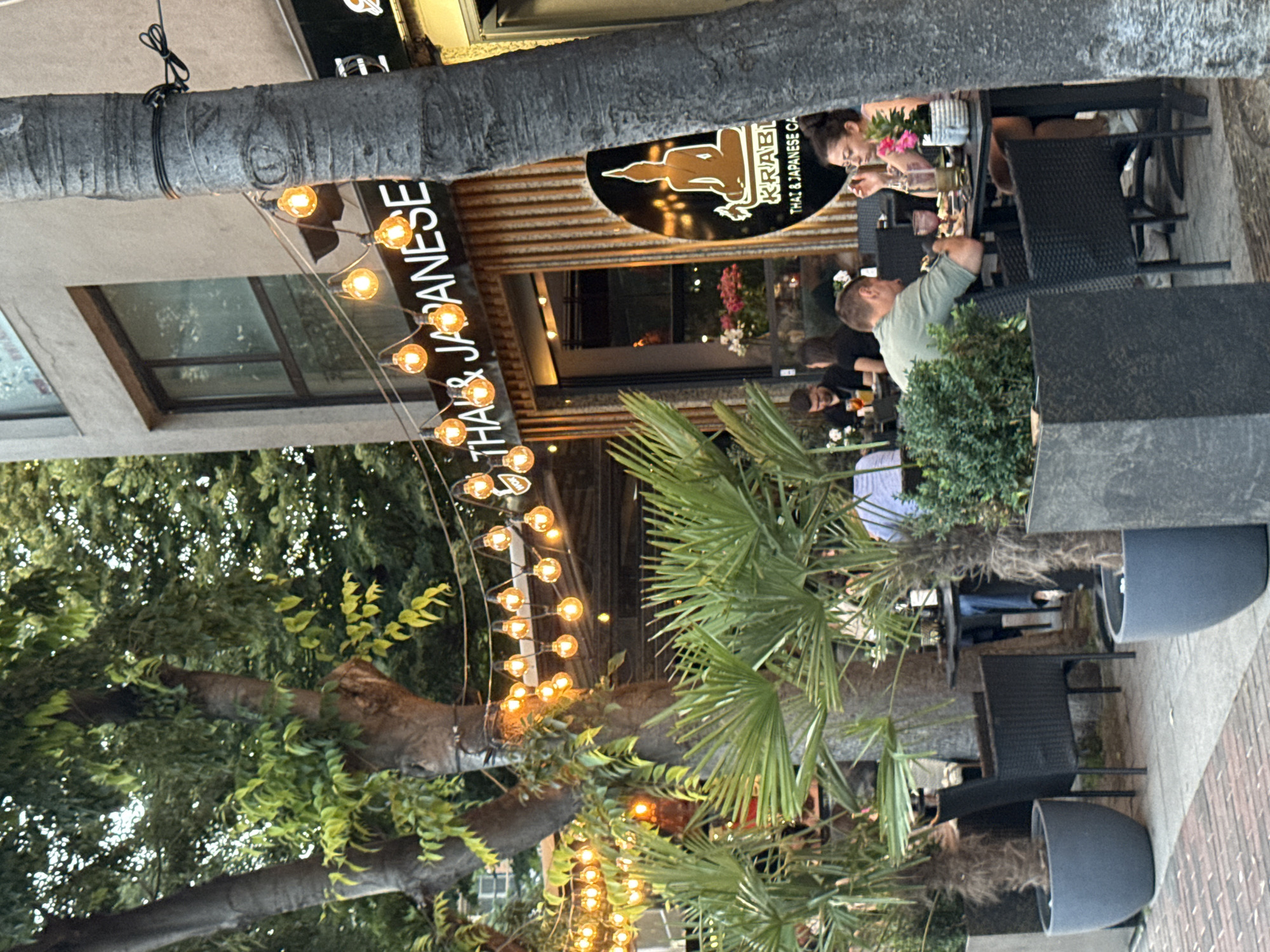 The image depicts an outdoor seating area of a restaurant with a facade that reads "THAI & JAPANESE." The seating area is decorated with string lights. Several people are seated at tables, dining and conversing. In the foreground, there are large potted plants, including palm trees. The restaurant appears to be located on a street, with a tree trunk in the right foreground obscuring part of the view. A circular logo with a silhouette of a meditating figure and the text "KRABI THAI & JAPANESE CA" is visible on the building.