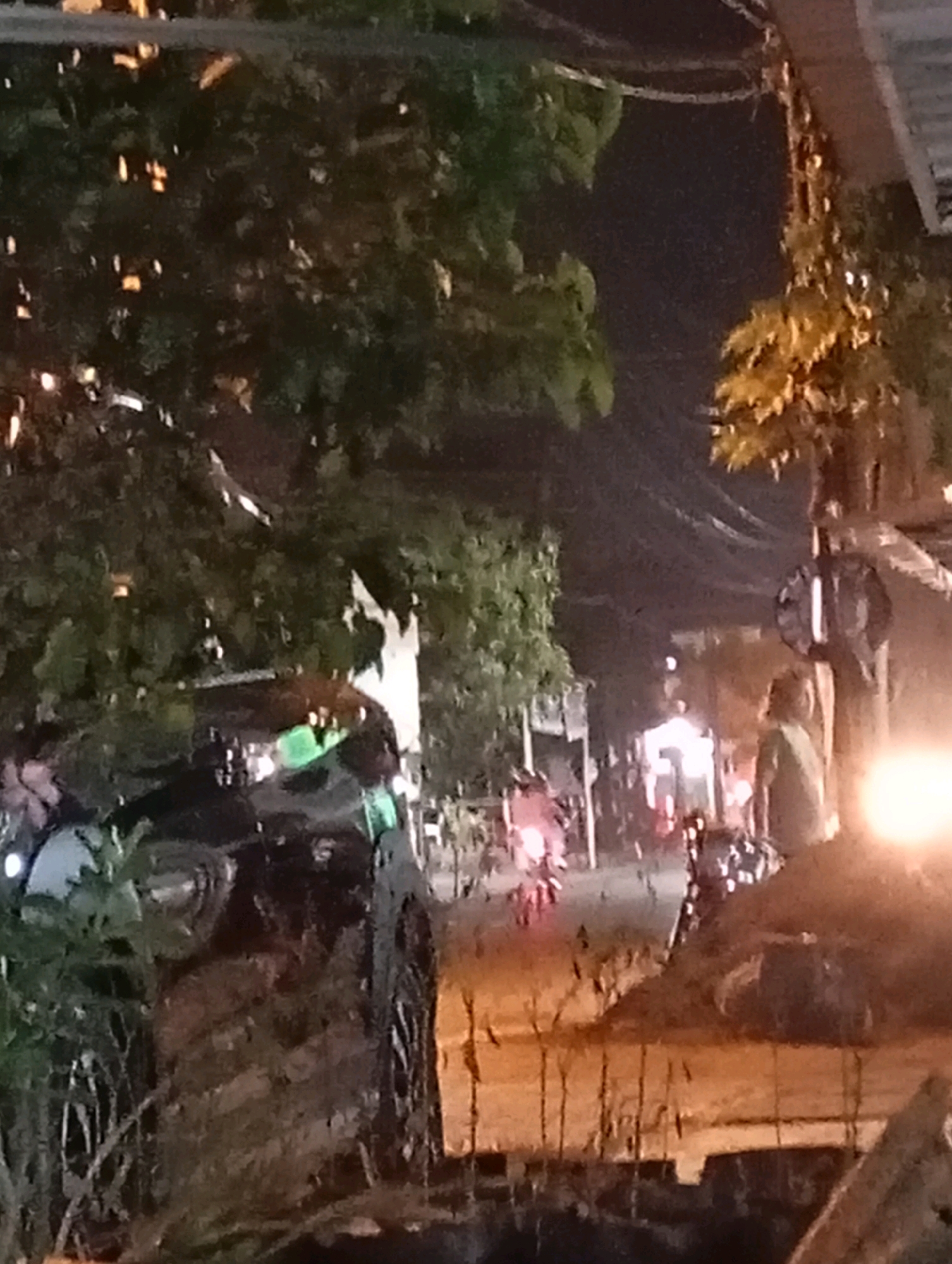 The image depicts a dark, outdoor scene in Randegan, Indonesia, likely at night. A black vehicle is partially visible on the left, with reflections suggesting it is wet. Trees with dense foliage frame the scene on the left and in the background. In the distance, a street scene is illuminated by lights, with several figures and what appear to be motorbikes present. One person in the mid-ground is wearing a light-colored garment. A bright light source is visible on the right side of the image. The overall atmosphere is murky due to low light conditions and possibly rain.
