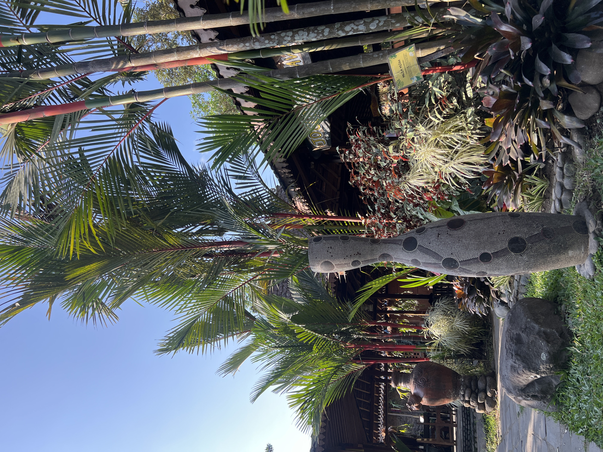 This is a medium-angle shot of an outdoor courtyard in Tlogoadi, Indonesia, likely a restaurant or garden area, featuring lush tropical vegetation and decorative elements. The foreground is dominated by a large, dark gray boulder surrounded by short green grass. To the right of the boulder, a tall, cylindrical decorative vase with a textured, dotted pattern stands prominently. Behind it, a cluster of vibrant red and green foliage, possibly bromeliads, grows. Further back, several tall palm trees with distinctive red stalks rise towards a clear blue sky. A traditional wooden structure with a thatched roof and intricate eaves is visible behind the plants. In the mid-ground, a large, terracotta-colored pot, intricately carved and resting on a stone base, adds to the cultural ambiance. A yellow sign with text in Indonesian, including "PALEM MERAH," is attached to one of the bamboo-like stalks on the right. The overall scene suggests a tranquil, exotic setting, bathed in bright sunlight. No people are visible in the image.