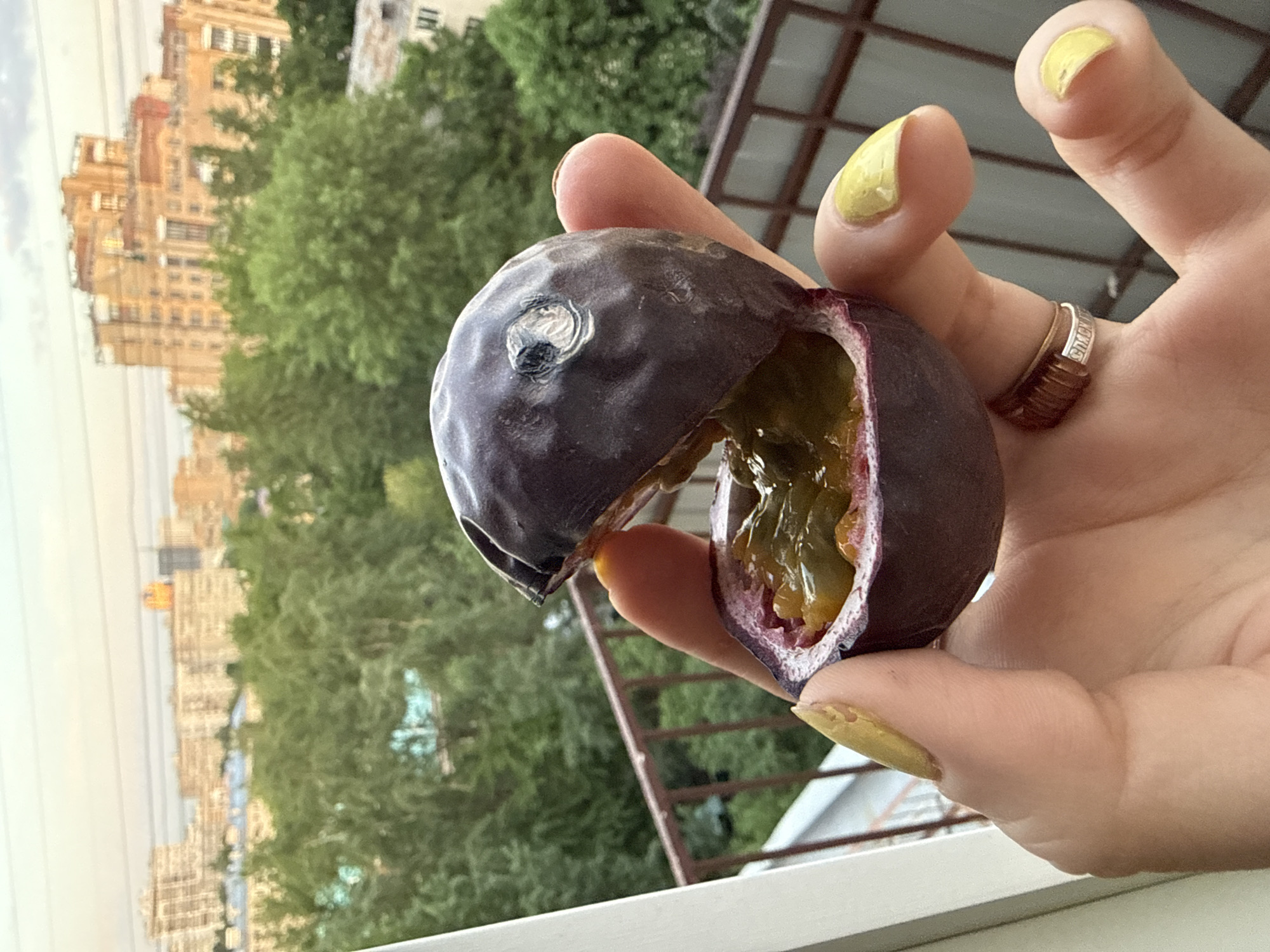 A close-up captures a person holding a halved passion fruit, its dark purple skin contrasted by the yellow pulp inside. The hand has yellow-painted nails, with two rings visible. The background shows a cityscape of Moscow, Russia, with trees partially obscuring the view of buildings. A white window frame is visible in the foreground. The photograph appears to be taken from indoors, looking out.