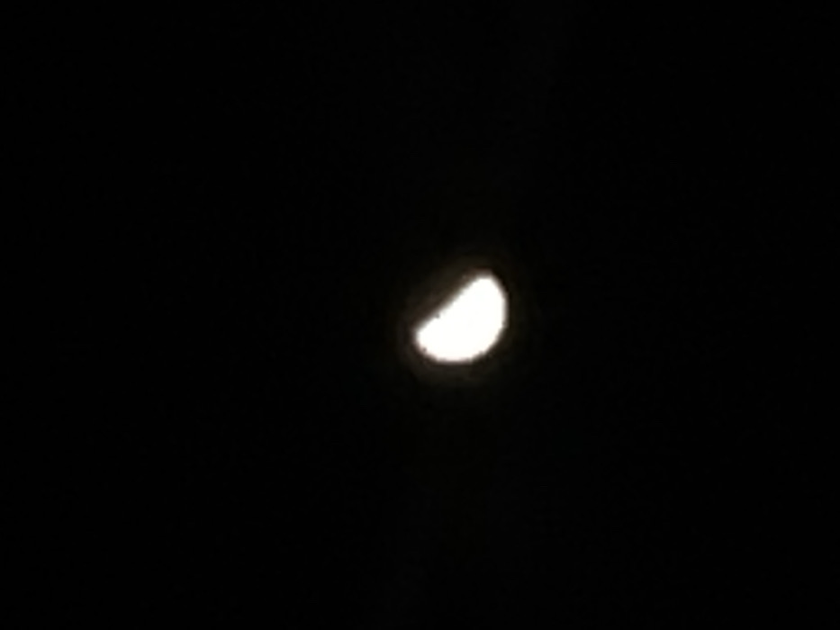 The image displays a half-moon against a completely dark, featureless night sky, observed from Sedlartsi, Bulgaria. The moon appears as a bright, luminous white semi-circle with a slightly soft, diffuse edge, indicating its illumination. The unlit portion of the moon is indistinguishable from the surrounding blackness. No other celestial bodies, atmospheric phenomena, terrestrial objects, or human elements are visible within the frame.