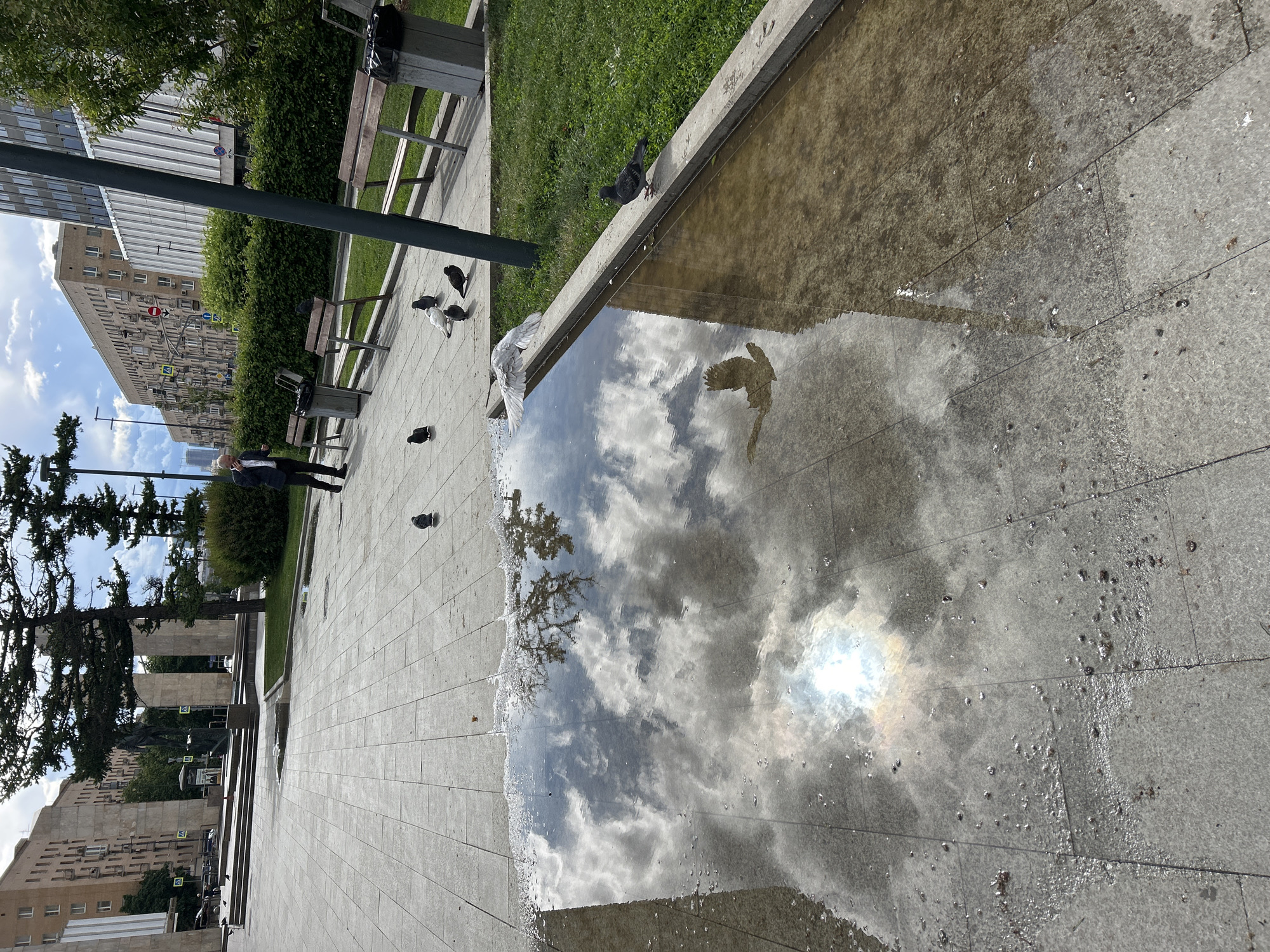 The image shows a plaza with a fountain in an urban setting, possibly in Unknown, Unknown. The sky and clouds are reflected in the water of the fountain. Several pigeons are on the ground near the fountain, and one appears to be in mid-flight over the water. A man in a dark suit is walking along the plaza. There are benches, trees, and buildings visible in the background. The plaza is paved with grey stone tiles.