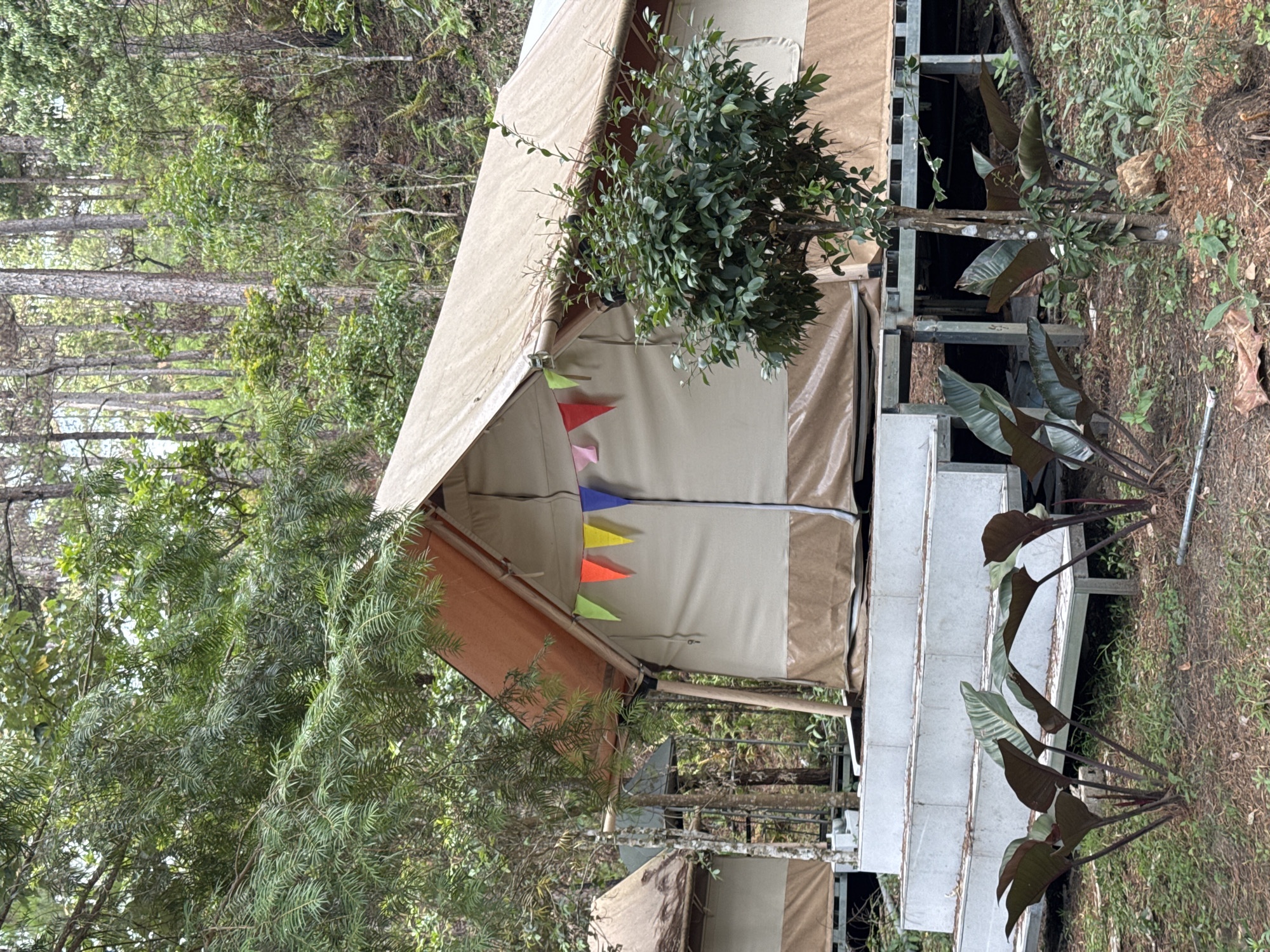 The scene depicts a glamping site in a wooded area, possibly near Lang Biang - Da Lat, Vietnam. The main subject is a canvas tent with a simple A-frame design, decorated with colorful triangular flags strung across the front. The tent has a raised platform and a set of concrete steps leading up to the entrance. Lush greenery surrounds the tent, with trees and plants creating a natural environment. The location appears to be in a forest setting. The image is vertically oriented.