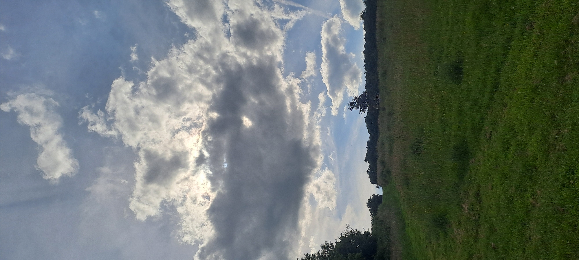The image depicts a natural landscape with a focus on the sky and a grassy meadow. The sky is filled with a mix of dramatic, dark gray clouds and brighter, scattered white clouds. Sunlight is breaking through the clouds in the upper left portion of the image, creating a bright, diffused glow. In the distance, a dense line of trees forms a horizon against the sky. The foreground is a gently sloping meadow covered in green grass, with some taller, dry grasses interspersed. A faint path or track can be seen ascending the meadow towards the trees in the distance. The overall impression is one of an overcast but illuminated sky over a rural or parkland setting.