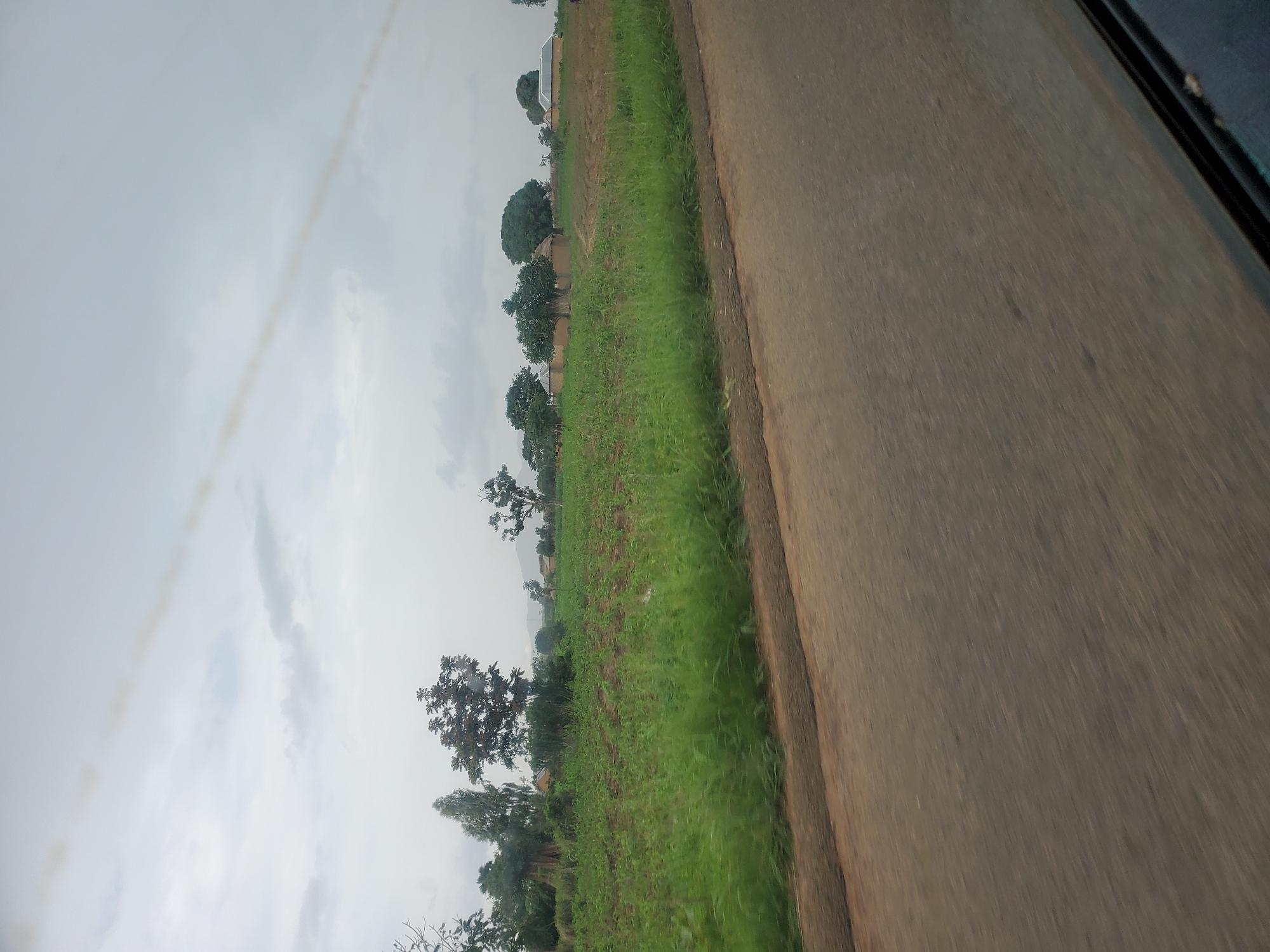 The image depicts a roadside view in Pankshin, Nigeria. The scene is dominated by a paved road on the right, with a vibrant green field bordering it on the left. The field appears to be agricultural land, possibly a crop field, with interspersed trees dotting the landscape. In the background, there are hints of rural dwellings and more trees, suggesting a village or scattered homesteads within a predominantly agricultural setting. The sky is overcast and appears to be a dull, cloudy day, with no direct sunlight visible. The overall atmosphere is serene and rural. No people or specific activities are discernible, making it a general landscape shot. The perspective suggests the photo was taken from a moving vehicle, given the slight blur and the angle. The time of day is indeterminate due to the cloud cover, but it appears to be daytime. No text is visible in the image.