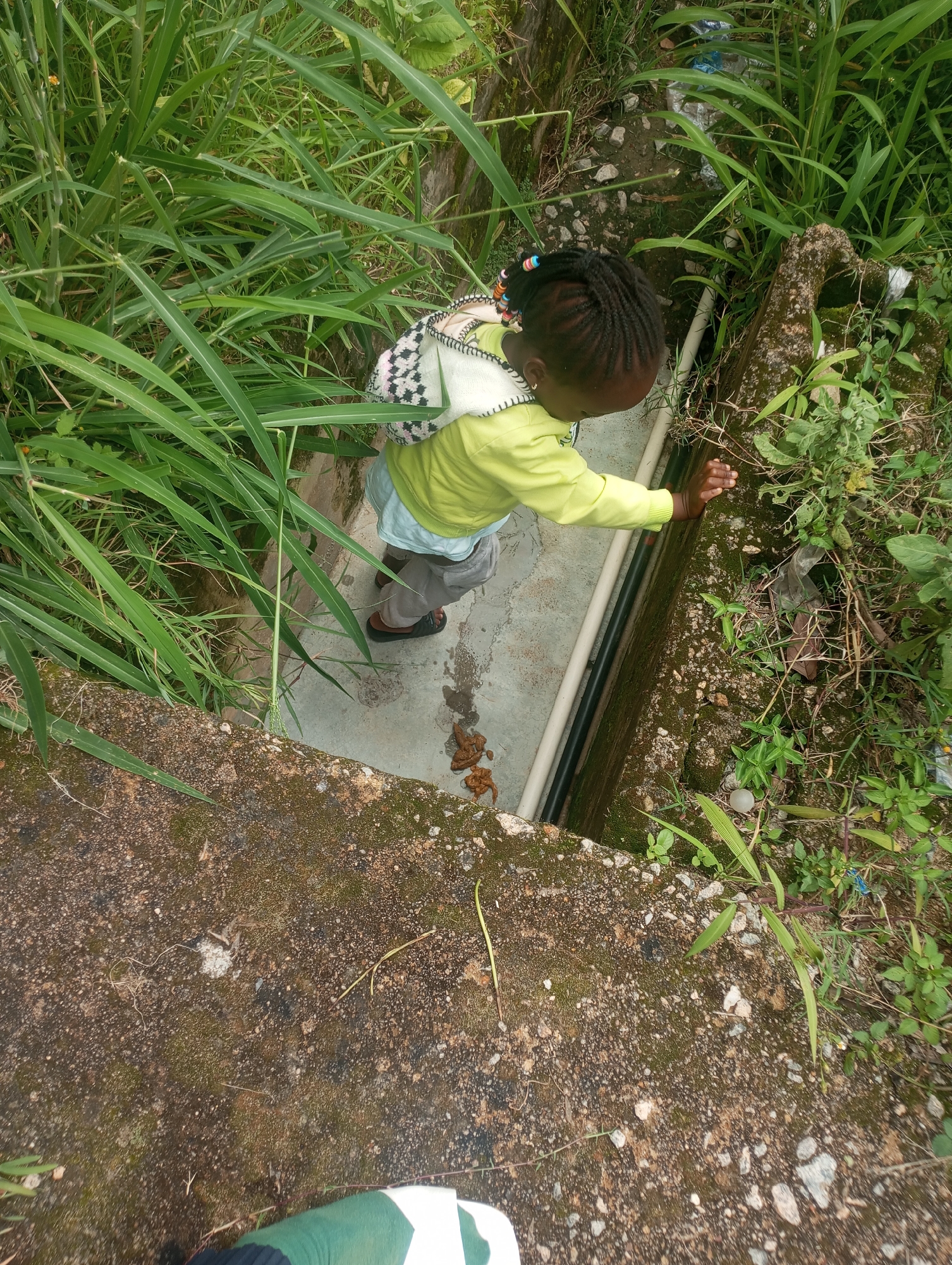 A high-angle, outdoor shot shows a young girl with dark skin and braided hair, adorned with colorful beads, reaching out towards a narrow, dark channel. She is wearing a bright yellow long-sleeved shirt and light blue shorts, with a patterned backpack slung over her shoulders. The channel appears to be a drainage ditch, partially filled with water and debris, bordered by concrete and moss-covered stones. Lush green vegetation, including tall grasses, flanks the ditch and the surrounding area. Scattered brown lumps, resembling animal droppings, are visible on the concrete surface near the girl. The ground is a mix of concrete and rough, rocky terrain. This scene is consistent with an urban environment in Jos, Nigeria, where such drainage systems are common, particularly in areas with dense vegetation and unpaved sections.