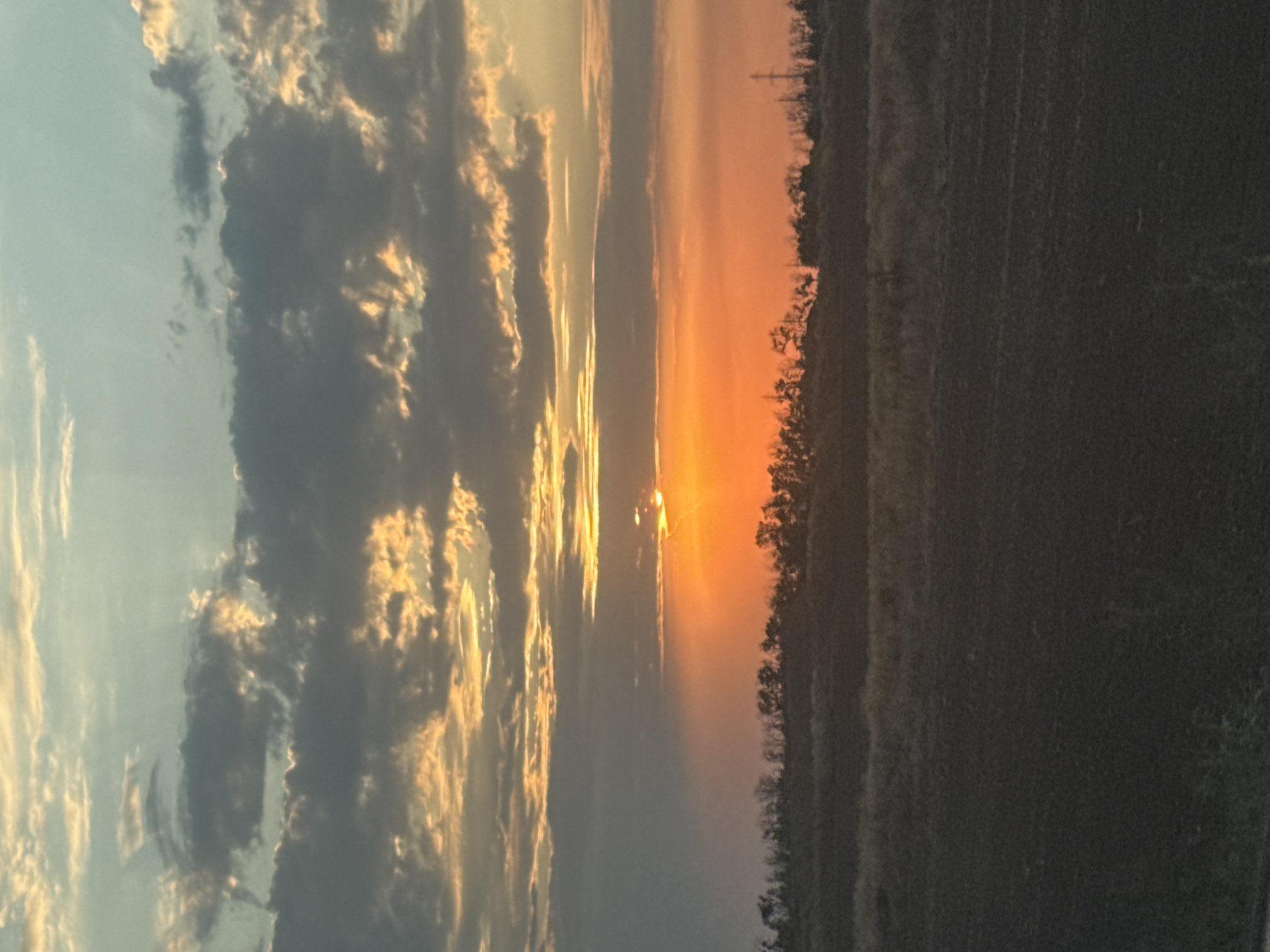 The image captures a sunset over a rural landscape, likely in or near Alexandrova Kosa, Russia. The sky is dominated by vibrant orange and yellow hues from the setting sun, breaking through a layer of dark, textured clouds. The clouds are illuminated from behind, creating a dramatic contrast. Below the sky, a thin line of trees forms a dark silhouette against the bright horizon. Further down, the land appears to be agricultural, with fields of dried grass and darker, tilled soil in the foreground. A solitary power line pole is visible on the right side of the frame, a subtle indicator of human presence in the otherwise natural setting. The overall impression is one of a serene, end-of-day scene in a rural area.