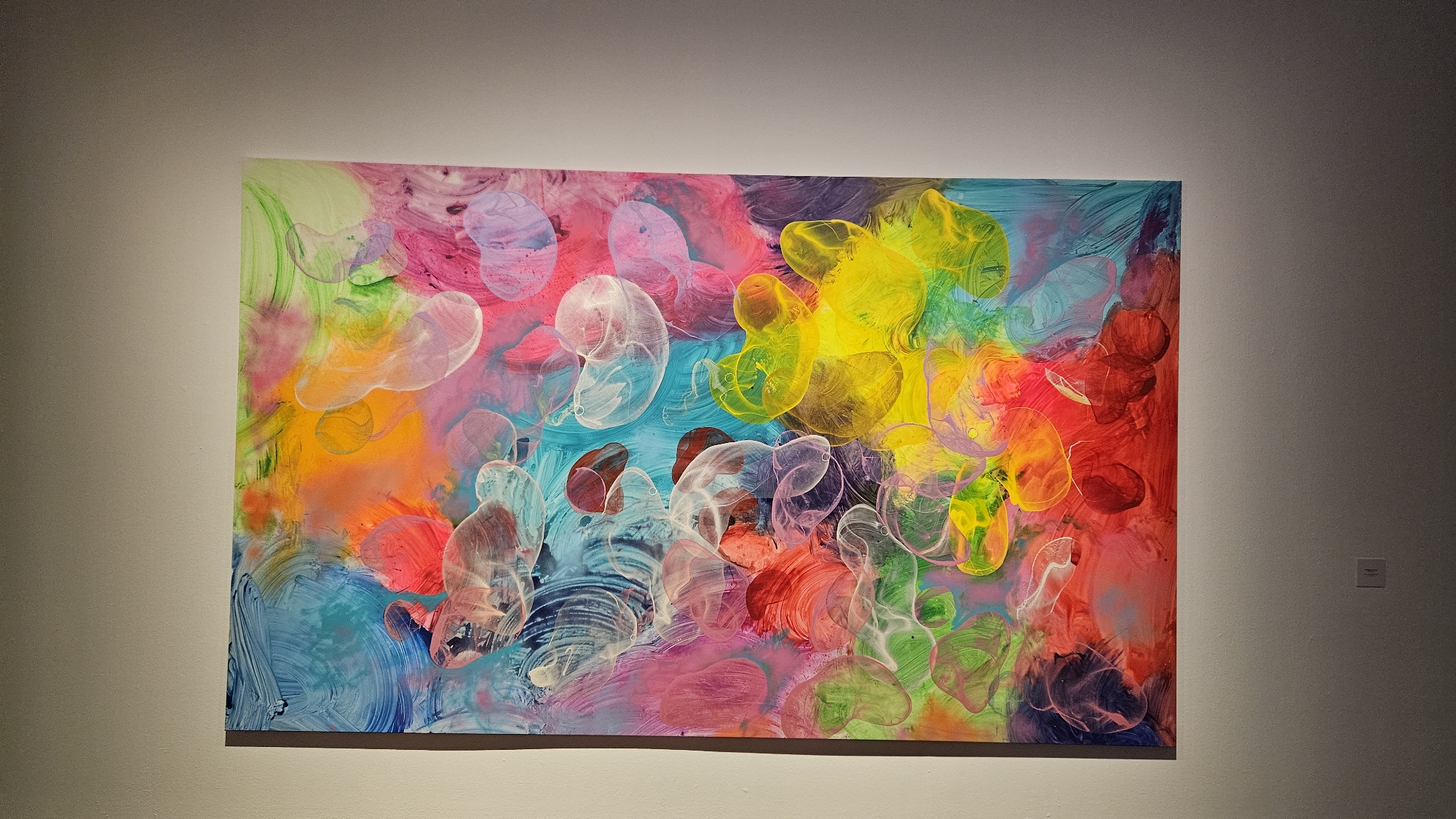 The image displays a vibrant, large-scale abstract painting prominently hung on a plain, light-colored wall, likely within an art gallery or exhibition space in San Cristóbal De La Laguna, Spain. The painting is rectangular and oriented horizontally.
The artwork is characterized by an explosion of bright, saturated colors including various shades of pink, fuchsia, yellow, orange, red, green, blue, and purple. The background features dynamic, swirled brushstrokes and blended areas of color, creating a lively and energetic foundation. Overlaid on this colorful ground are numerous translucent, irregular, rounded shapes that resemble bubbles, cells, or amorphous blobs. These shapes are delineated with lighter, sometimes white, outlines, giving them a glossy, three-dimensional, and ethereal quality. Some of these forms appear to contain or be filled with additional colors, while others are more transparent, allowing the underlying brushwork and colors to show through.
The overall impression of the painting is one of playfulness, organic movement, and a celebration of color and light. The piece is well-lit, suggesting deliberate gallery lighting, which enhances the luminosity and depth of the translucent elements and the vibrancy of the colors. A small, unreadable plaque is visible on the wall to the right of the painting, typical of an exhibition setting, possibly indicating the artist's name or the artwork's title. No people or other significant objects are visible in the scene.