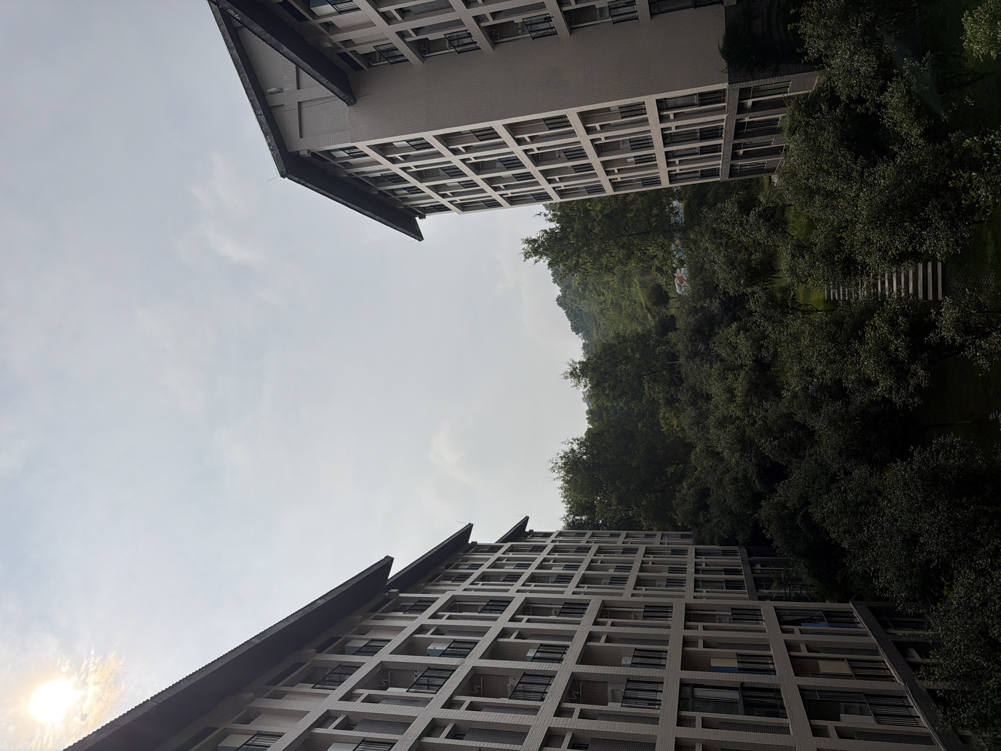 The image shows two apartment buildings with a dense green forest and rolling hills in the background. The buildings are modern, with balconies and many windows. The sky is overcast with the sun faintly visible in the upper left corner, creating a halo effect. The trees are lush and full, suggesting a natural, possibly rural, setting within or on the outskirts of the city of Jiangjin, China. There are no people or vehicles visible in the image. The scene appears to be a residential area that has been integrated with the natural landscape.