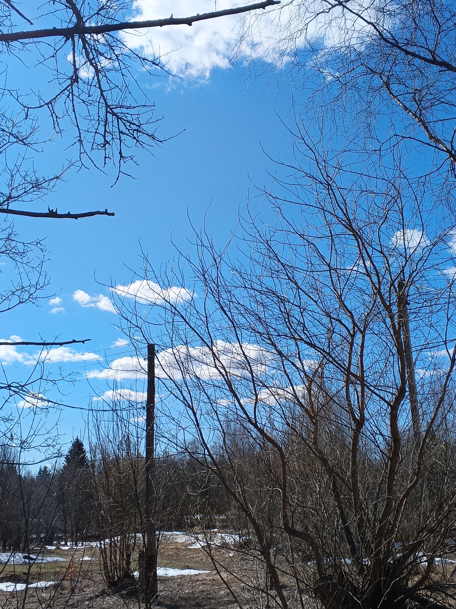 The image captures a scene in Красный Маяк, Russia, featuring a predominantly bare, leafless landscape suggesting either late winter or early spring. Patches of snow are visible on the ground, indicating recent or lingering cold weather. The sky is bright blue with scattered white clouds. Several bare trees dominate the foreground and midground, their branches reaching towards the sky. A utility pole with wires running across it is visible amidst the trees. In the background, a dense area of trees and bushes, possibly a forest or wooded area, further defines the landscape. There are no people, animals, or signs of recent activity visible. The general impression is one of a rural or semi-rural environment during a transitional season.