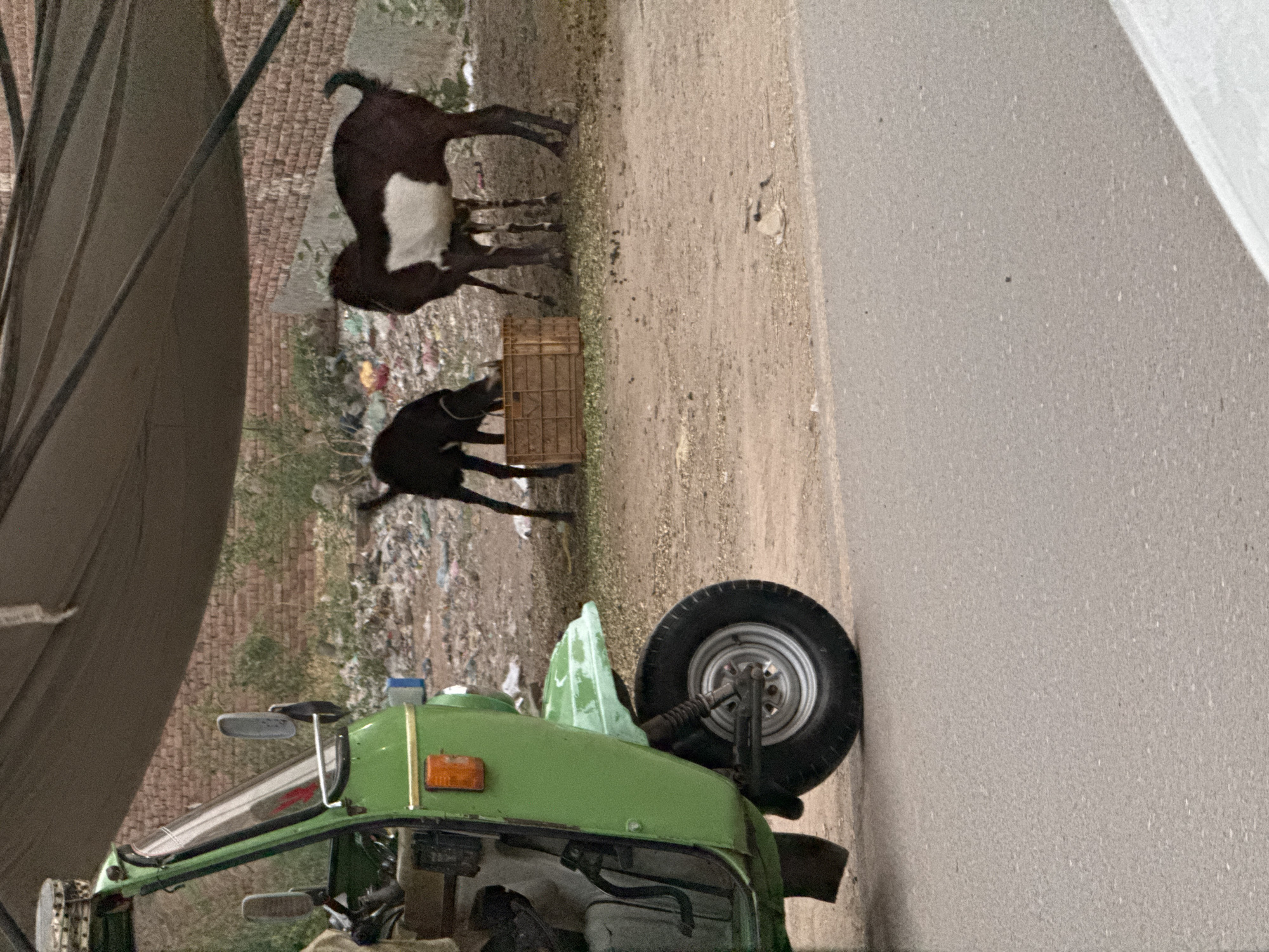 The image shows a street scene in an undefined city, with a green auto-rickshaw positioned in the foreground. Adjacent to the rickshaw, three goats can be seen near a crate. The environment includes a brick wall and a pile of trash in the background, along with an asphalt road in the foreground.