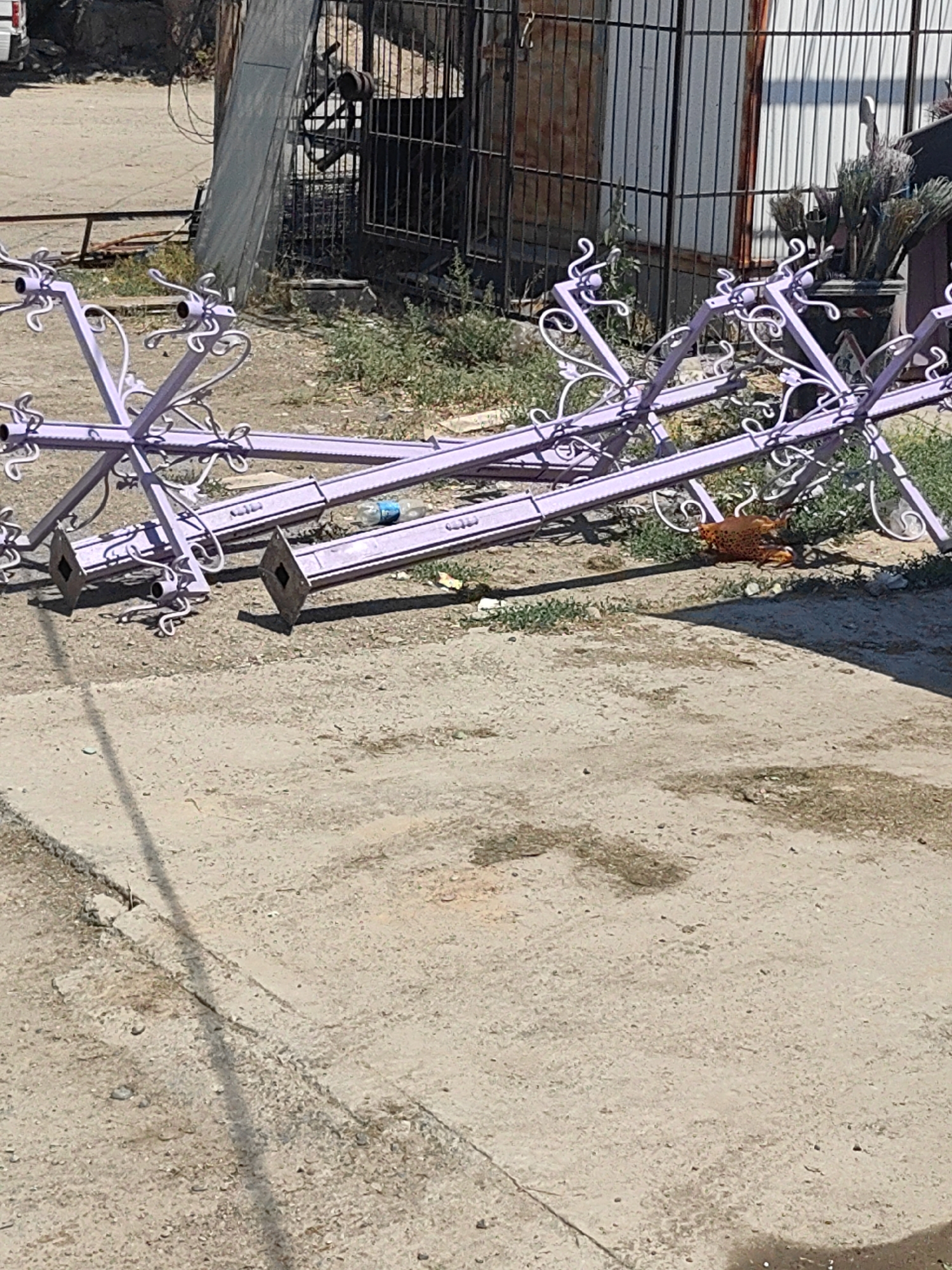 In Shymkent, Kazakhstan, on a sunny day, two ornate, lavender-colored metal lamp posts lie horizontally on a dusty, concrete ground. One post is fully visible, while the other is partially obscured. Both posts feature decorative scrollwork and square bases. A partially eaten chicken lies near the base of the visible post. A blue plastic water bottle rests on the ground beside the second post. In the background, a black metal fence encloses an area with overgrown green weeds. The fence is partially obscured by a grey, corrugated metal sheet leaning against it. A portion of a white vehicle is visible to the far left.