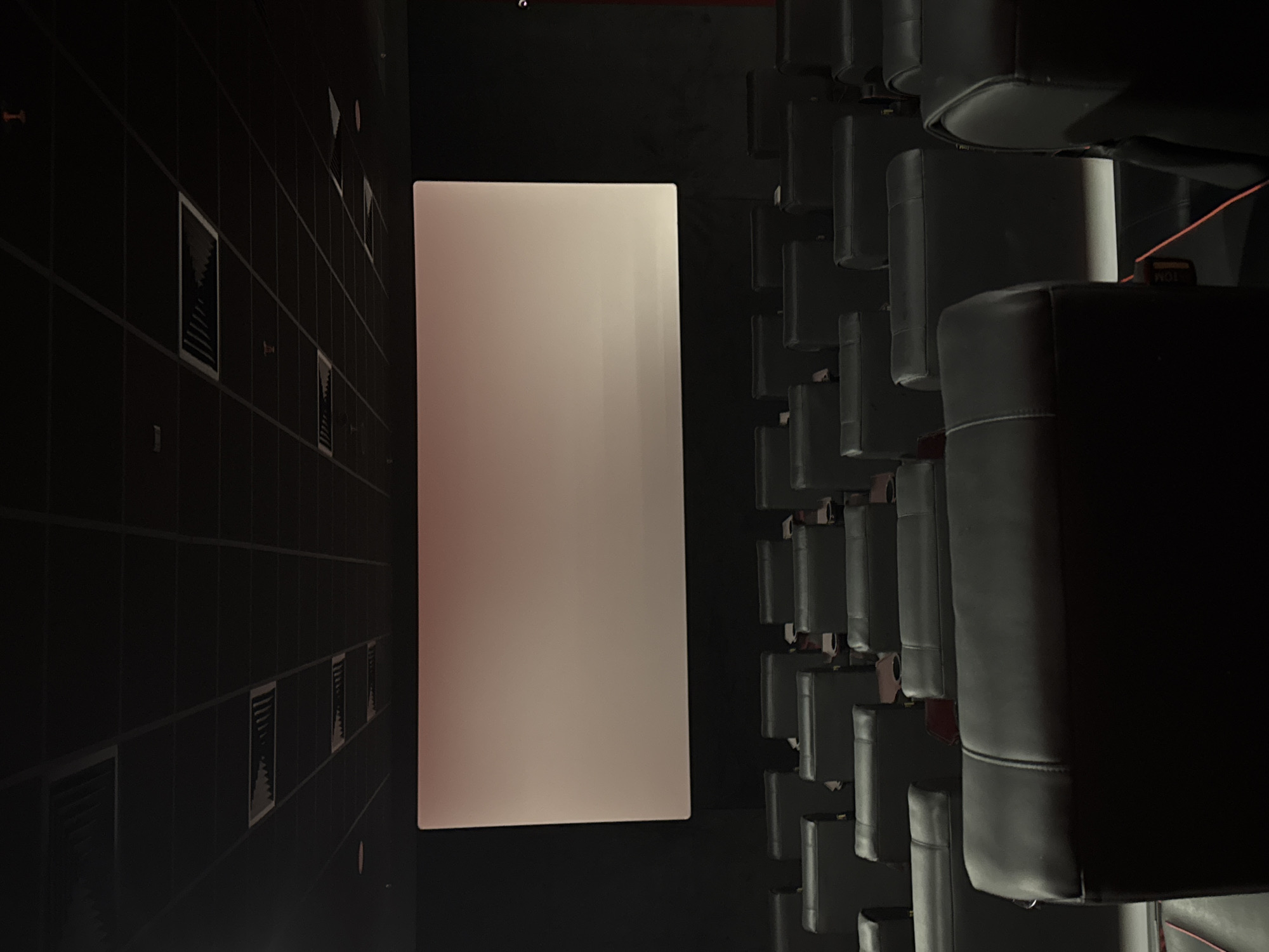 The image depicts the interior of a movie theater. On the left is a wall with gridded squares and small rectangular artwork within them. A large white screen dominates the center of the frame. To the right are rows of black leather theater seats. The location is likely in Sofia, Bulgaria, given the prompt's request.