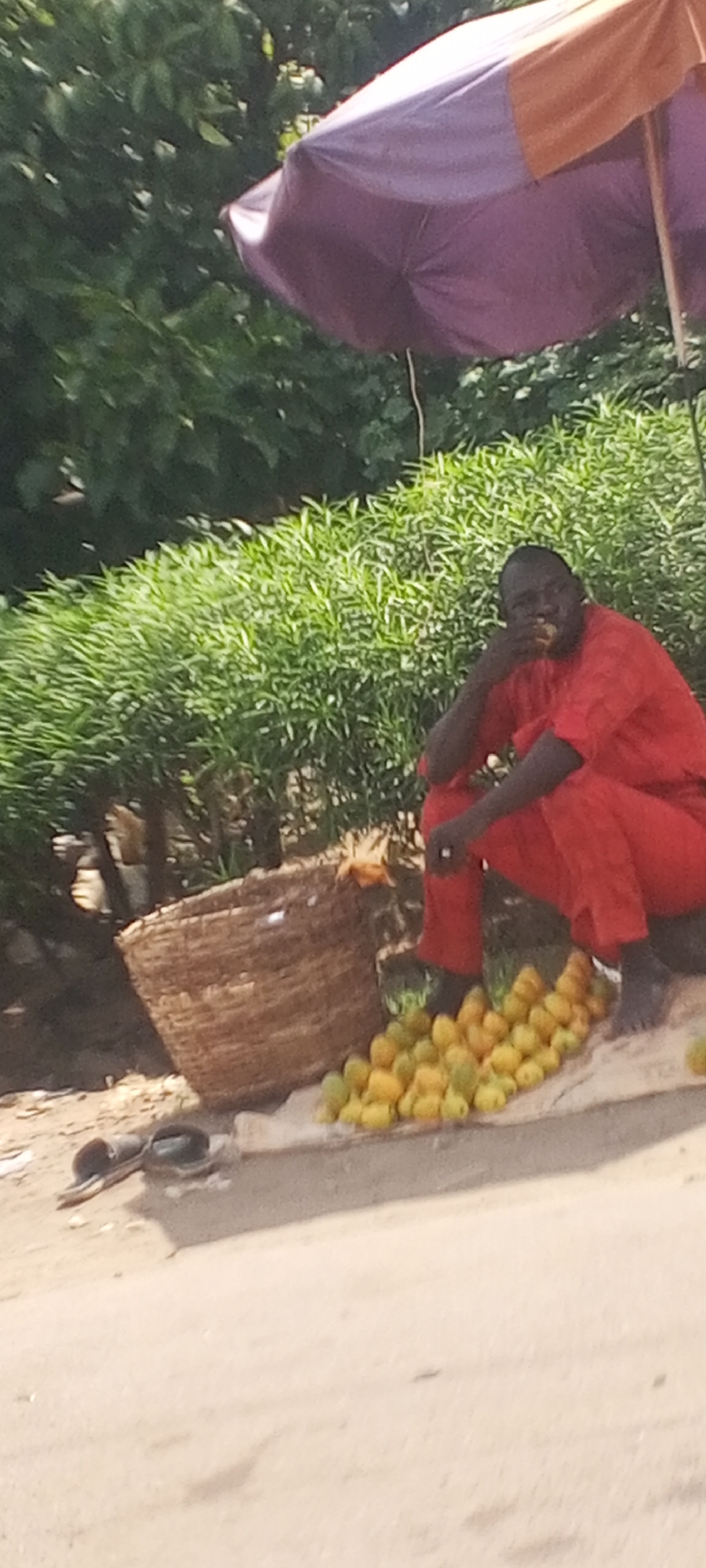 A man squats next to a collection of yellow fruit, possibly mangoes, arranged on a white cloth beside a woven basket. He is wearing a red garment. He is under an umbrella, possibly to provide shade from the sun. Sandals rest on the ground near the basket. The background shows greenery and a tree. It's a street scene, indicating an outdoor market setting in the city of Television, Nigeria. The man appears to be eating a piece of fruit.