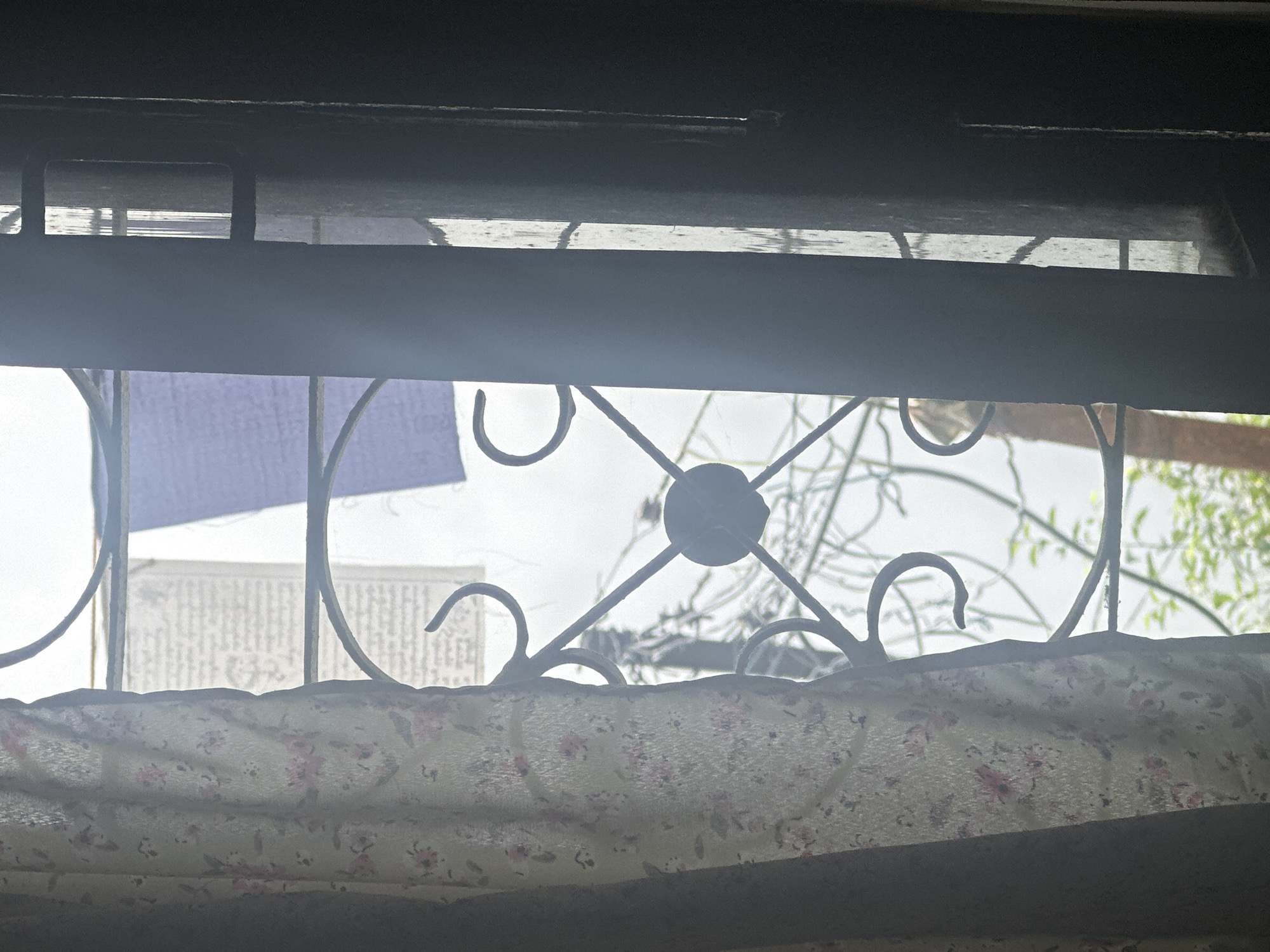 The image shows a view through a window in Bhagsu, India. A floral patterned curtain hangs on the left side, partially obscuring a decorative metal grille. Through the grille and a slightly ajar dark-colored wooden doorframe on the right, the overcast sky is visible, with what appear to be prayer flags hanging. Bare branches of a tree are also visible against the sky. The overall scene suggests a moment captured in a residential setting, likely a home or guesthouse, in the town of Bhagsu.