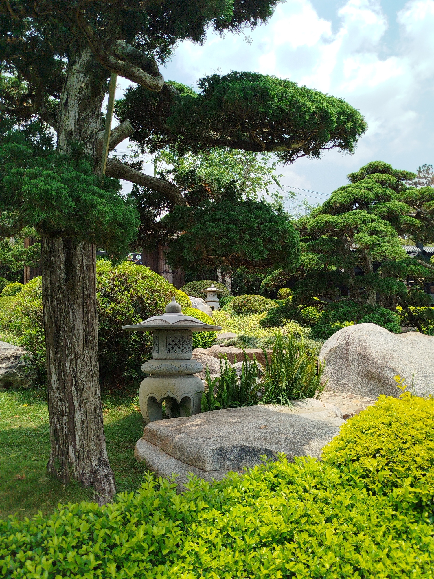 The image presents a landscaped garden scene, likely situated in Cam Ly - Đà Lạt, Vietnam. A stone lantern, ornately carved, sits on a stone base near the foreground, nestled among plants and rocks. A textured tree trunk is partially visible on the left side of the frame. A variety of greenery, including ferns and bushes, and stones are distributed throughout the scene. In the background, meticulously pruned trees and additional stone lanterns suggest a Japanese-influenced garden design. The sky is partly cloudy.