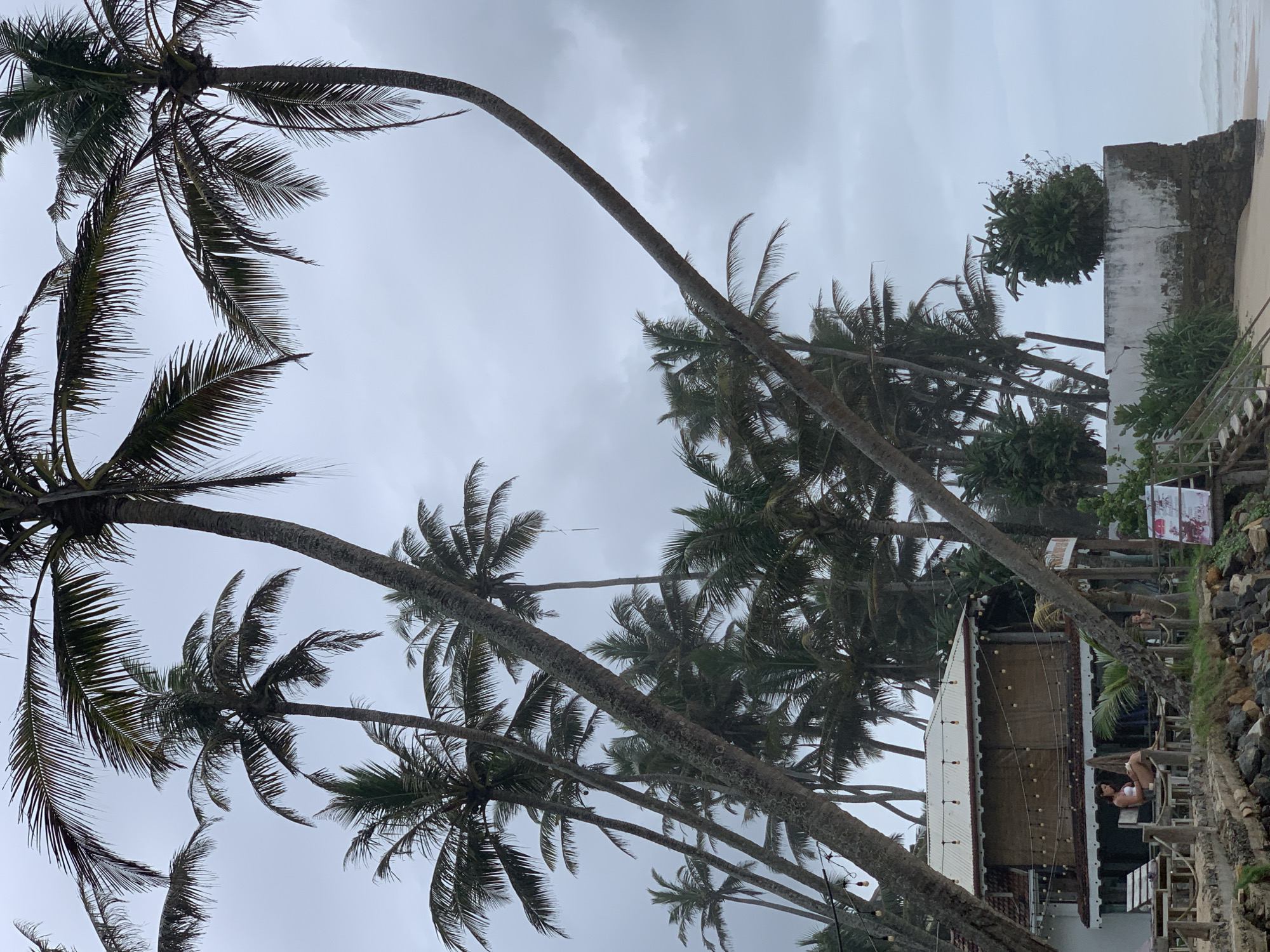 The image, taken in Kathaluwa, Sri Lanka, shows a cloudy sky partially obscured by tall palm trees. On the right side of the frame, a structure is visible, appearing to be a building or hut with lights strung along its roof. The surroundings suggest a coastal environment. A person is seated outside the building. Vegetation grows around the building and along the edge of a stone wall.