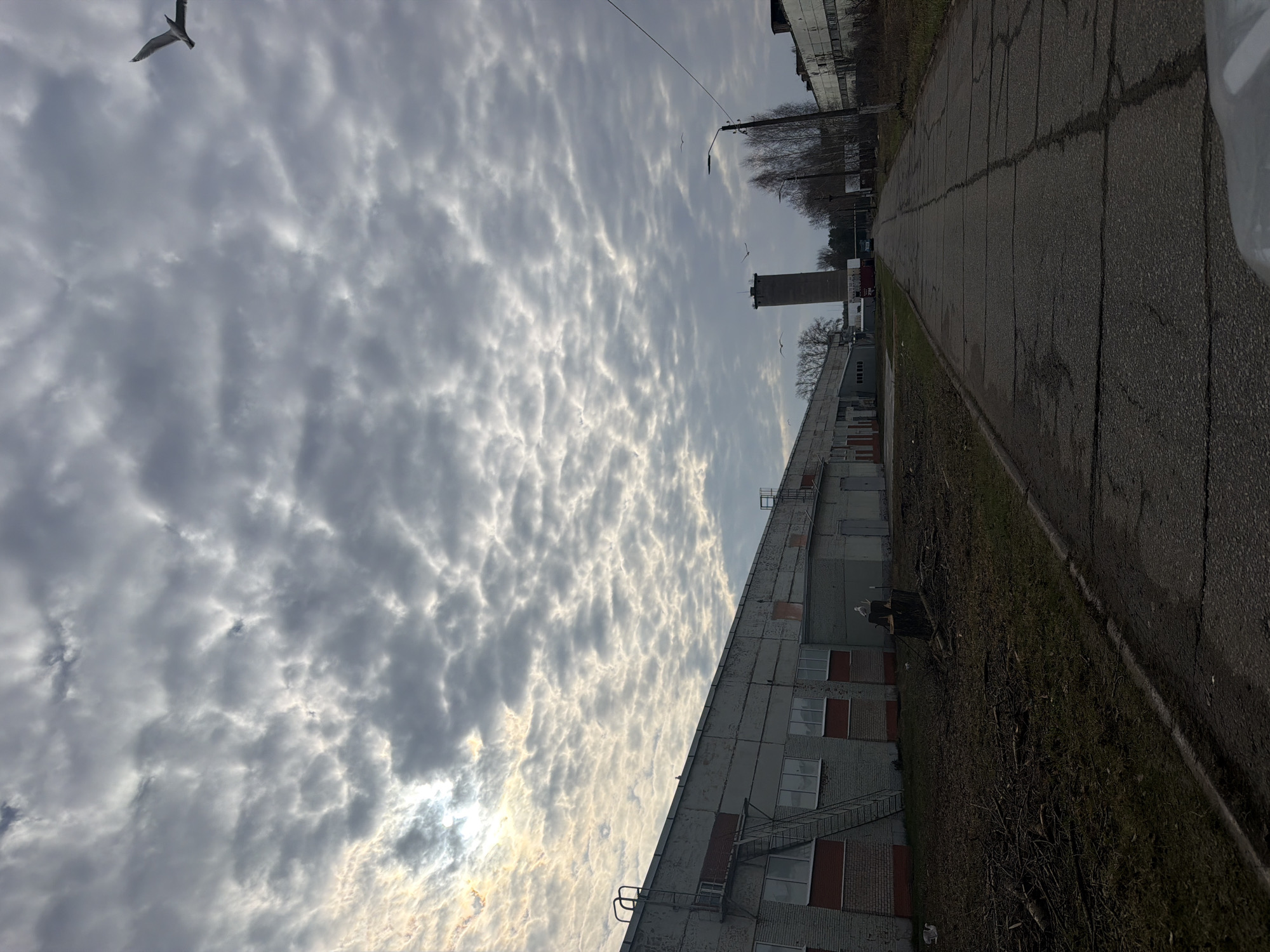 The image captures a utilitarian landscape in Chaikovsky, Russia, under a dramatic, cloudy sky. The sky, occupying the upper and left portions of the frame, is largely covered by textured, lumpy clouds, with bright sunlight breaking through towards the bottom-left, creating luminous patches. A large, light-colored bird, possibly a gull, is prominently visible flying in the upper-left corner against the clouds, with several smaller birds appearing more distantly in the sky.
Along the bottom and extending towards the middle of the image is a long, low industrial-style building. Its facade features a mix of light and darker grey bricks or concrete, with numerous windows, some appearing covered or boarded. External metal staircases or fire escapes are visible on its side. Further in the background, a tall, dark tower-like structure stands, accompanied by parts of other distant buildings and bare trees.
An old, cracked asphalt road or wide path extends diagonally from the bottom-right corner into the background, defining the right side of the scene. Patches of dry grass and shrubby, bare vegetation line the edge of the road and the base of the industrial building. The scene depicts no human activity, portraying a quiet, somewhat desolate daytime setting. No visible text is present in the image.