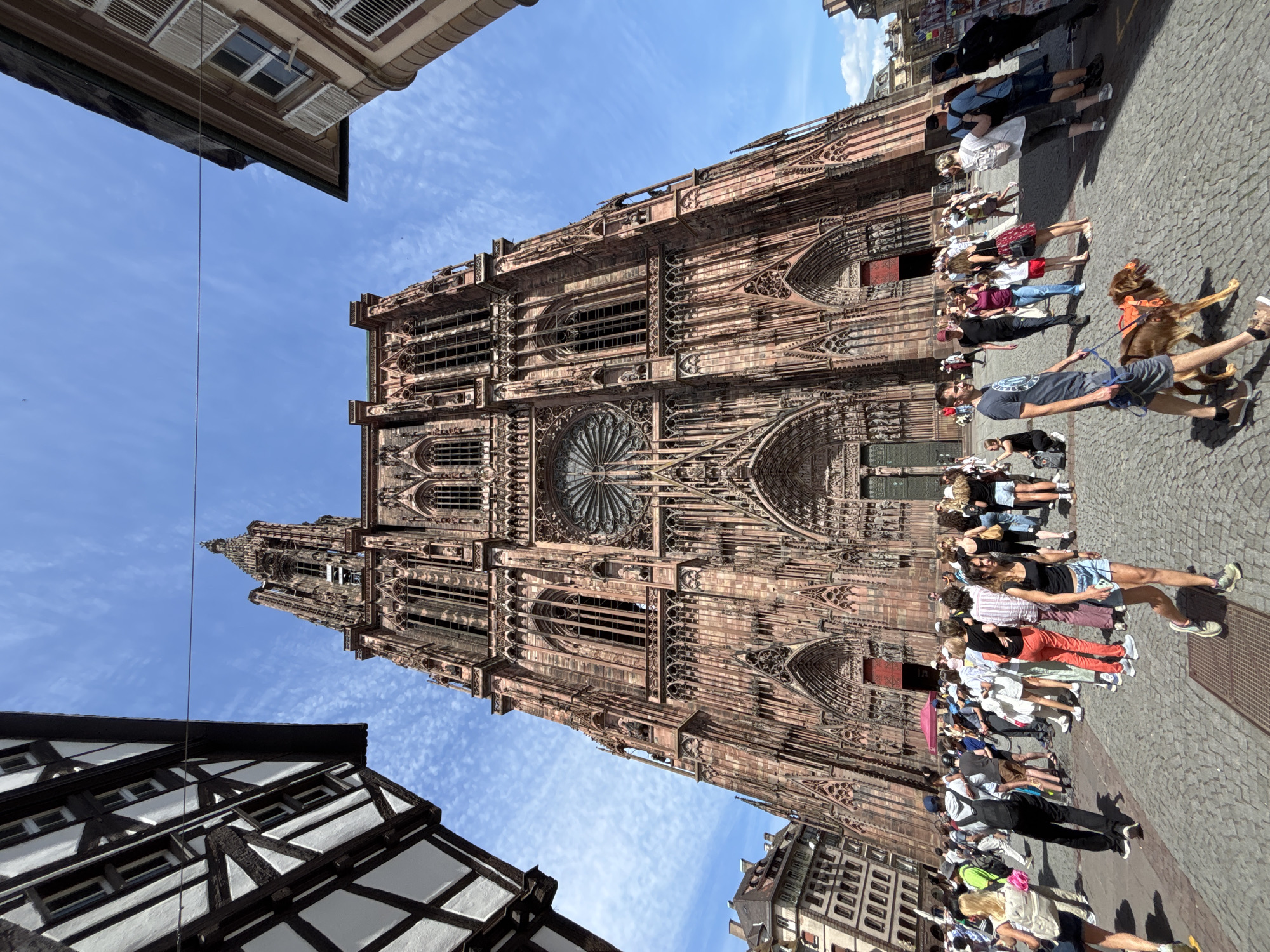 The image shows a wide-angle view of the Strasbourg Cathedral, also known as Cathédrale Notre-Dame de Strasbourg, in Strasbourg, France. The cathedral is a massive Gothic structure with intricate stonework and a tall spire. In the foreground and middle ground, a large crowd of tourists and locals are gathered in the plaza in front of the cathedral. People are walking, standing, and looking at the building. The plaza is paved with cobblestones. The sky is blue with scattered white clouds.
Specifically, the scene captures the facade of the cathedral with its elaborate arches, windows, and sculptures. Several individuals are in clear view, including a man walking a dog on a leash, a woman in the foreground wearing a black tank top and denim shorts, and groups of people engaged in conversation or observing the architecture. The surrounding buildings, one with a traditional half-timbered facade and another with a more classical architectural style, frame the view of the cathedral. The sun is shining, casting shadows on the plaza.